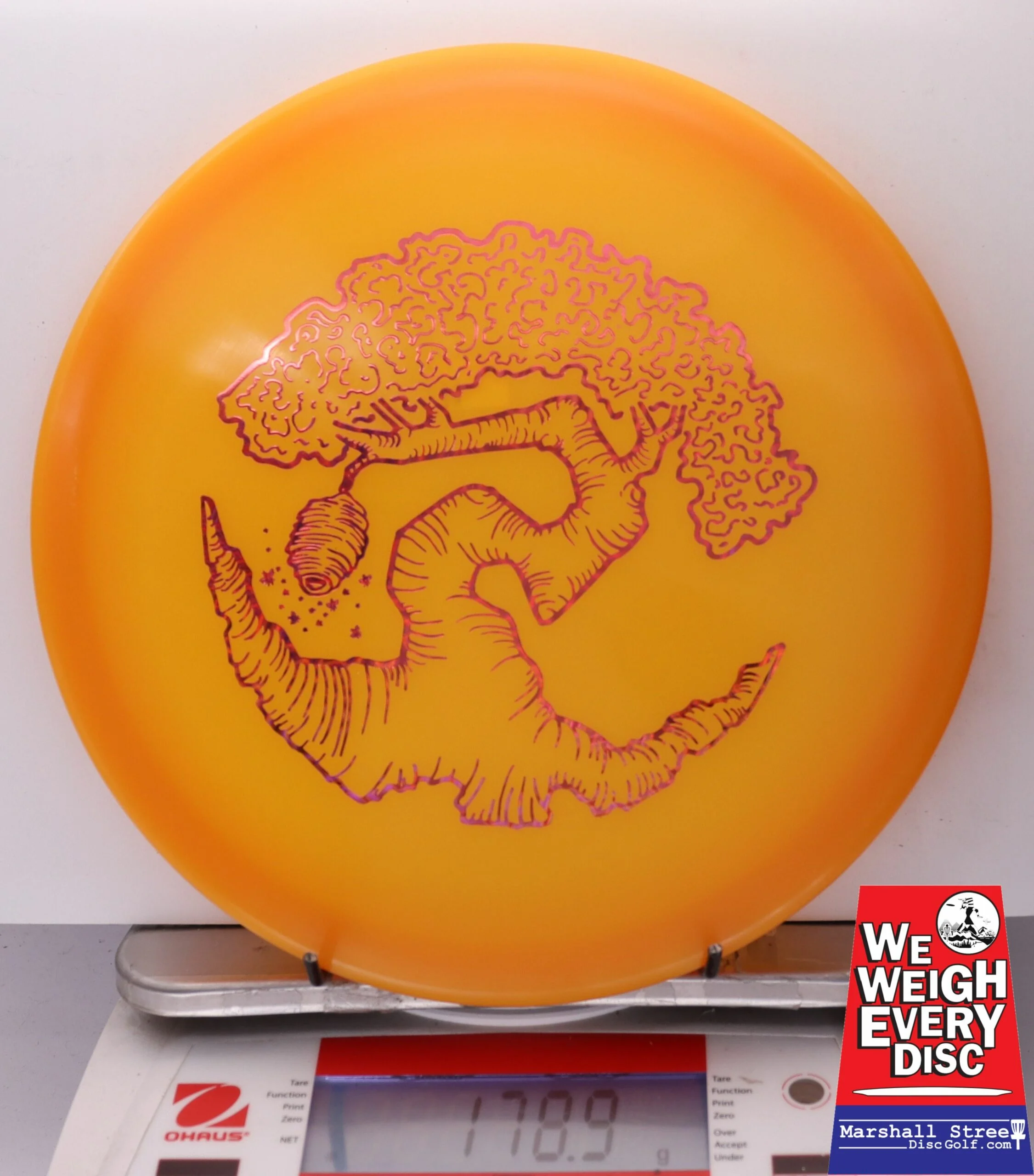186473 Z FLX Glow Swarm, Limited Edition - Faylor Lake Classic Fundraiser - #39 OrangeGlow, 179