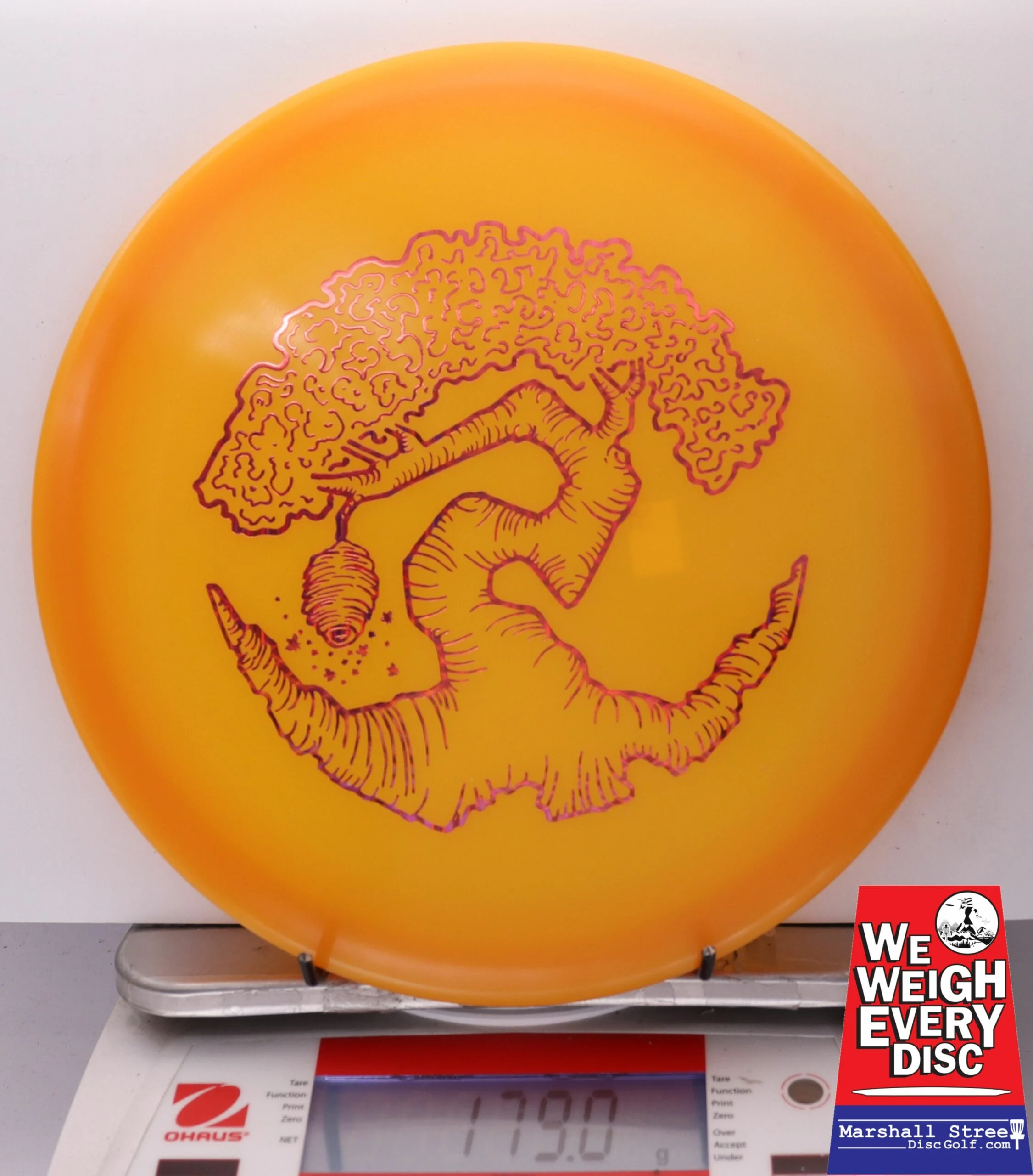 186474 Z FLX Glow Swarm, Limited Edition - Faylor Lake Classic Fundraiser - #40 OrangeGlow, 179