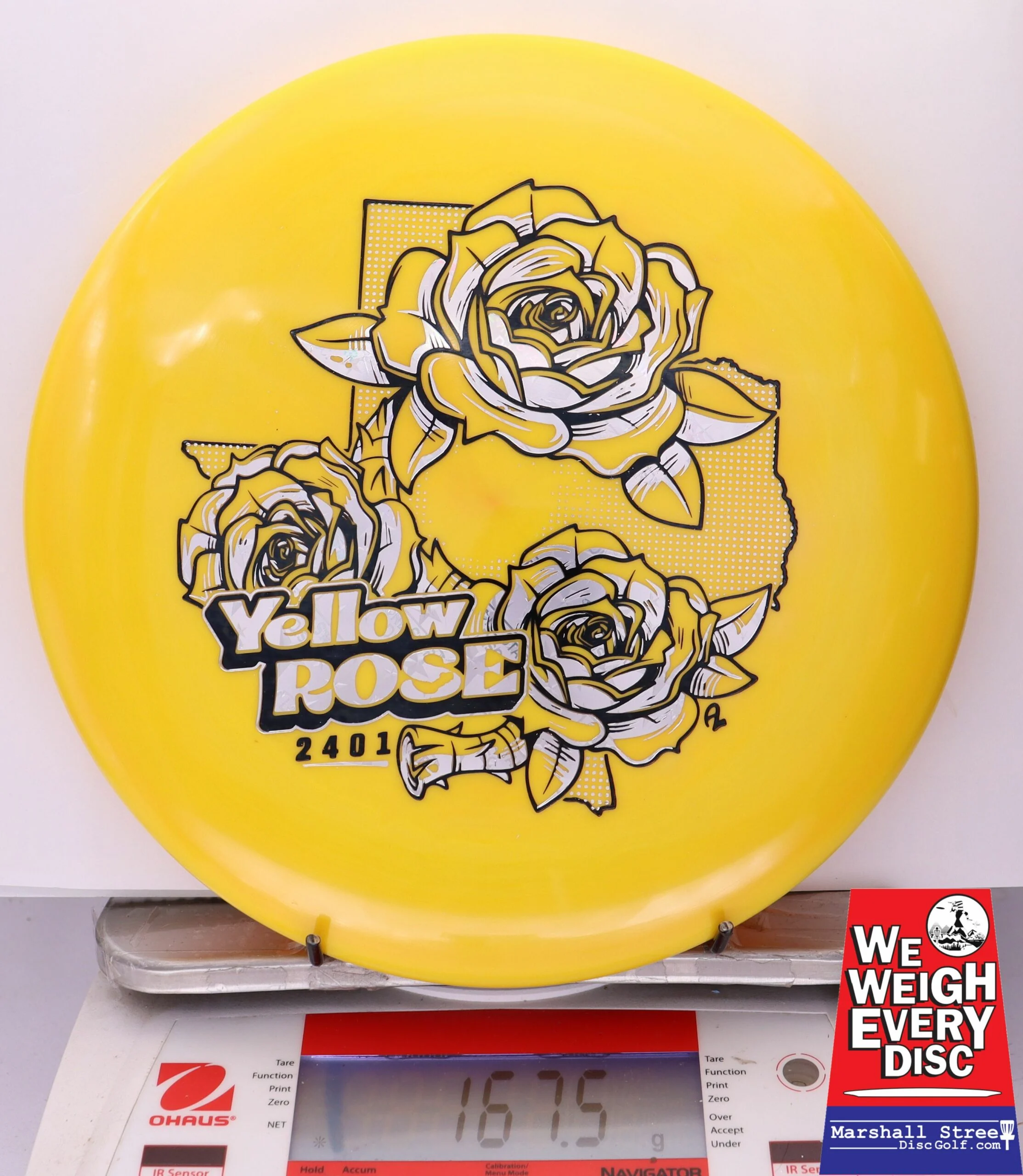 210421 Alpha Yellow Rose - #17 Yellow, 168