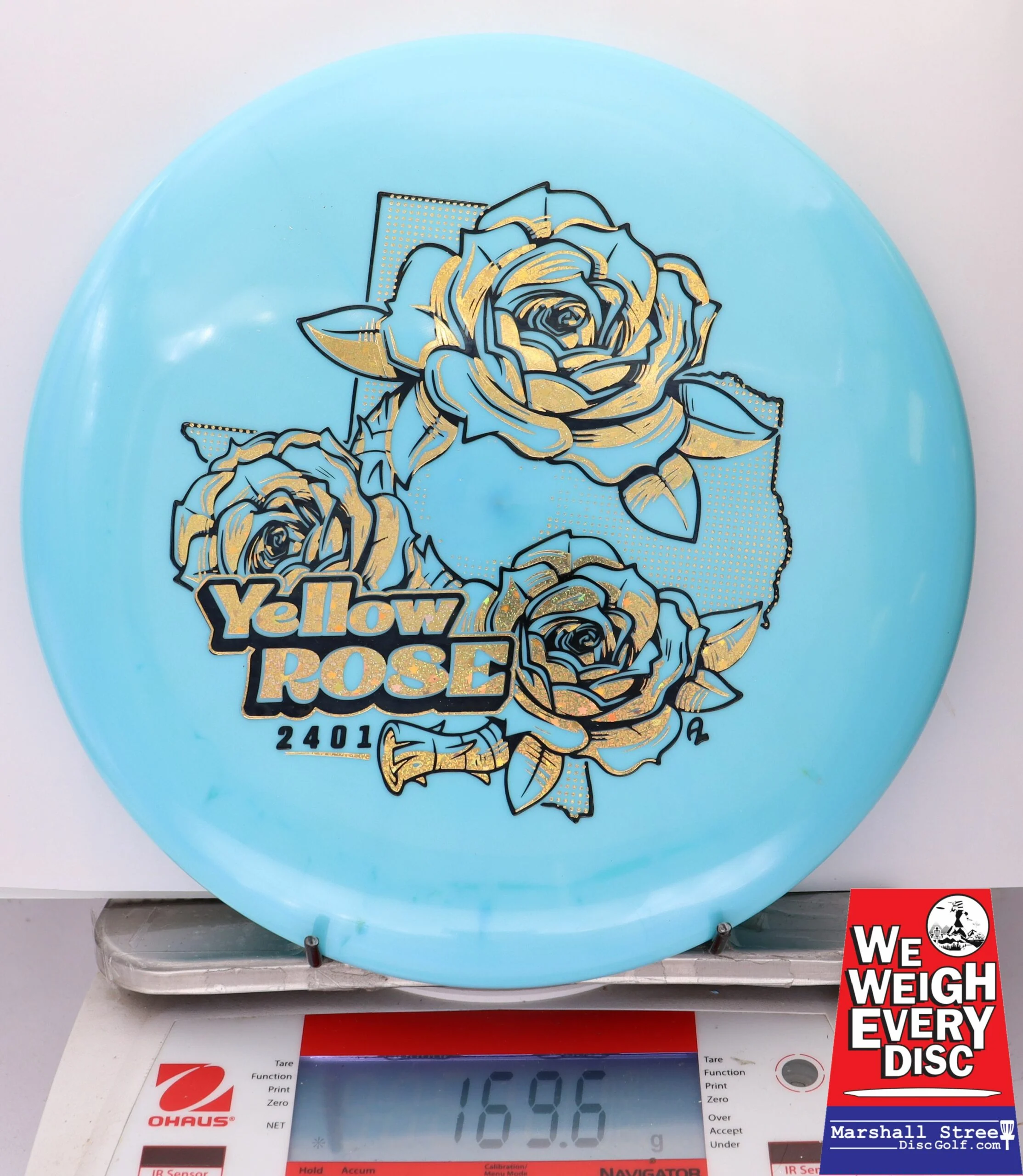 210424 Alpha Yellow Rose - #20 LtBlue, 170