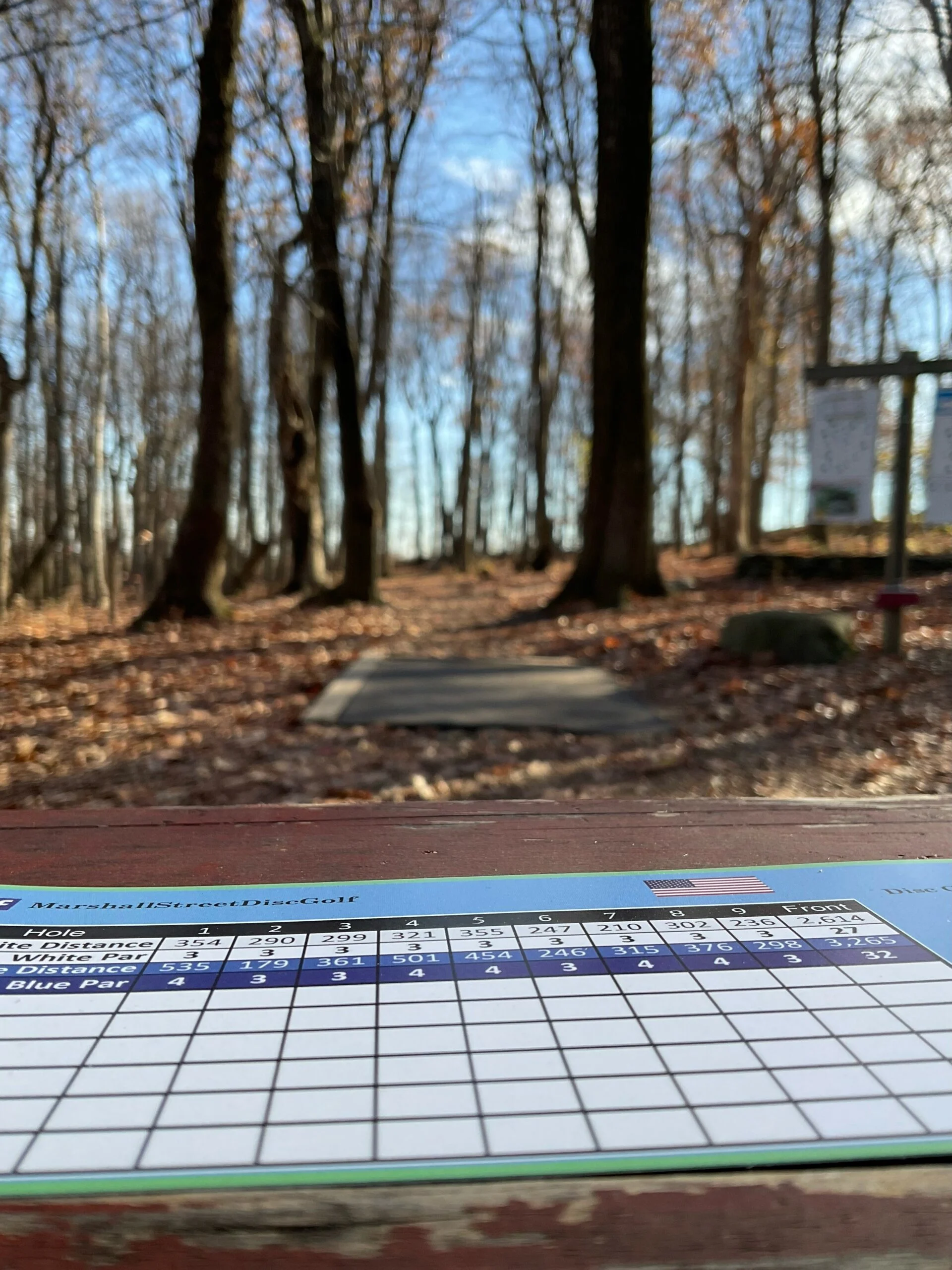 Scoring and Penalty Disc Golf Terms