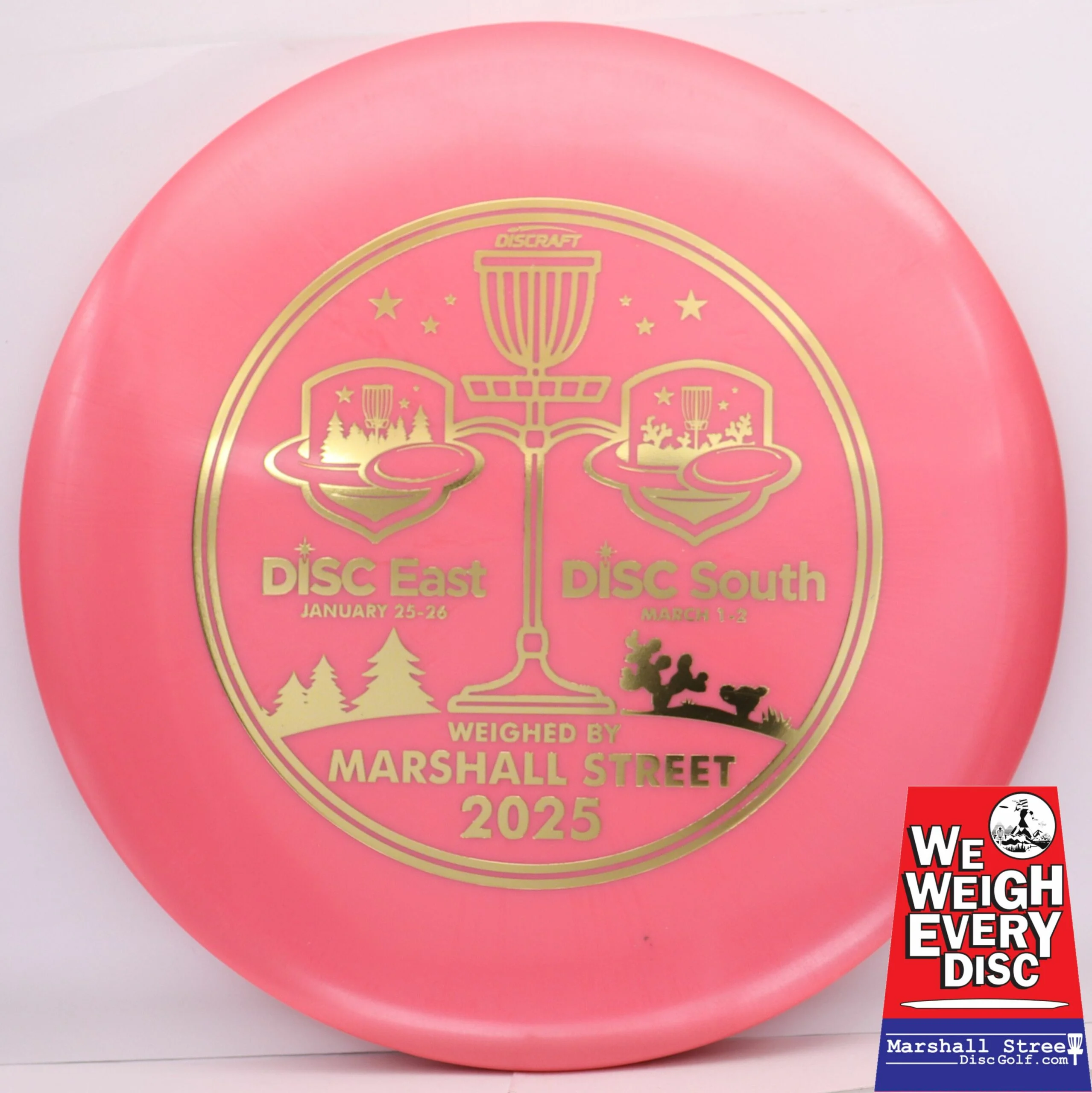 Big Z Glow Buzzz - Disc Golf Expos 2025