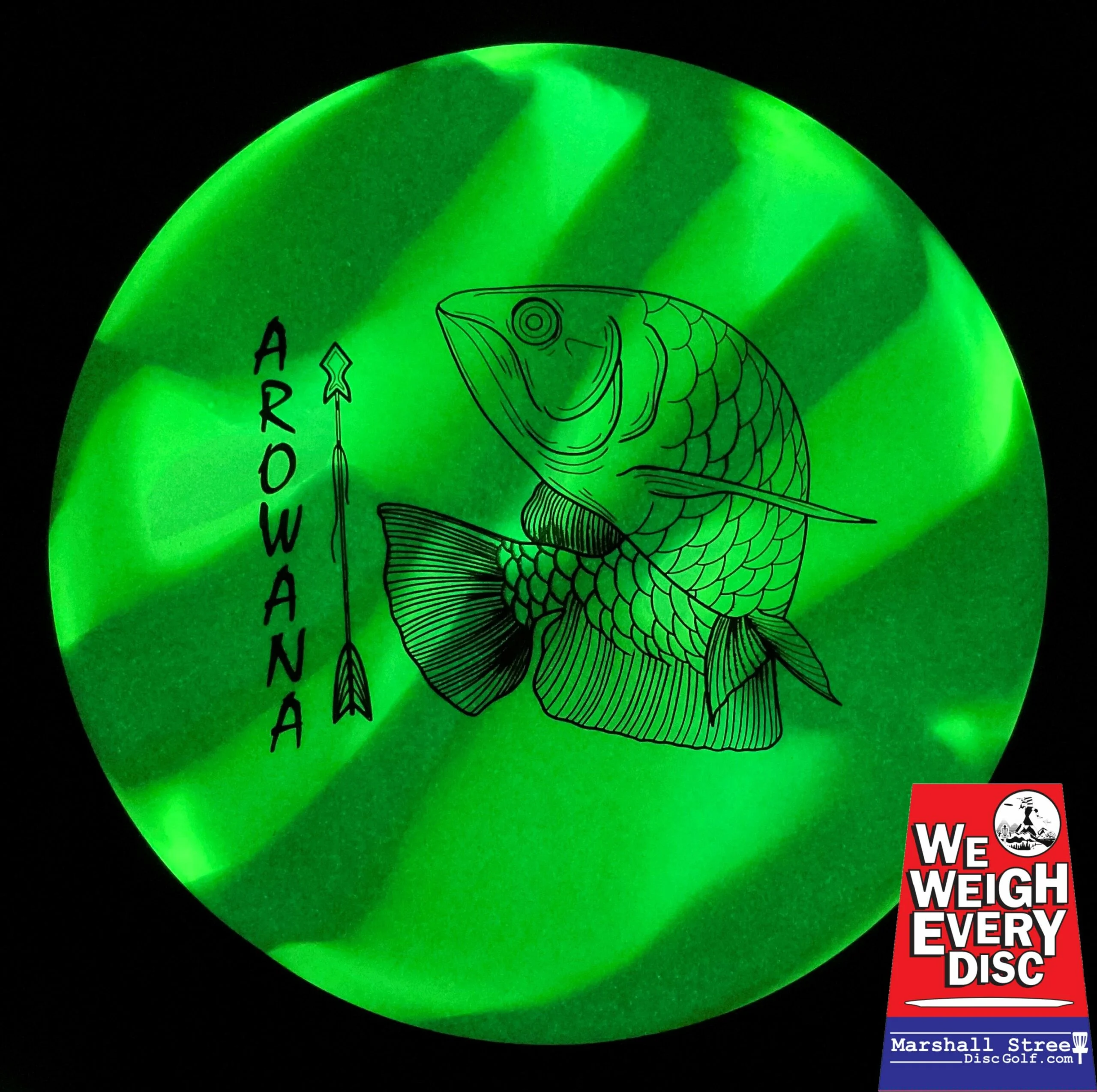 glO-G Arowana - Image 2
