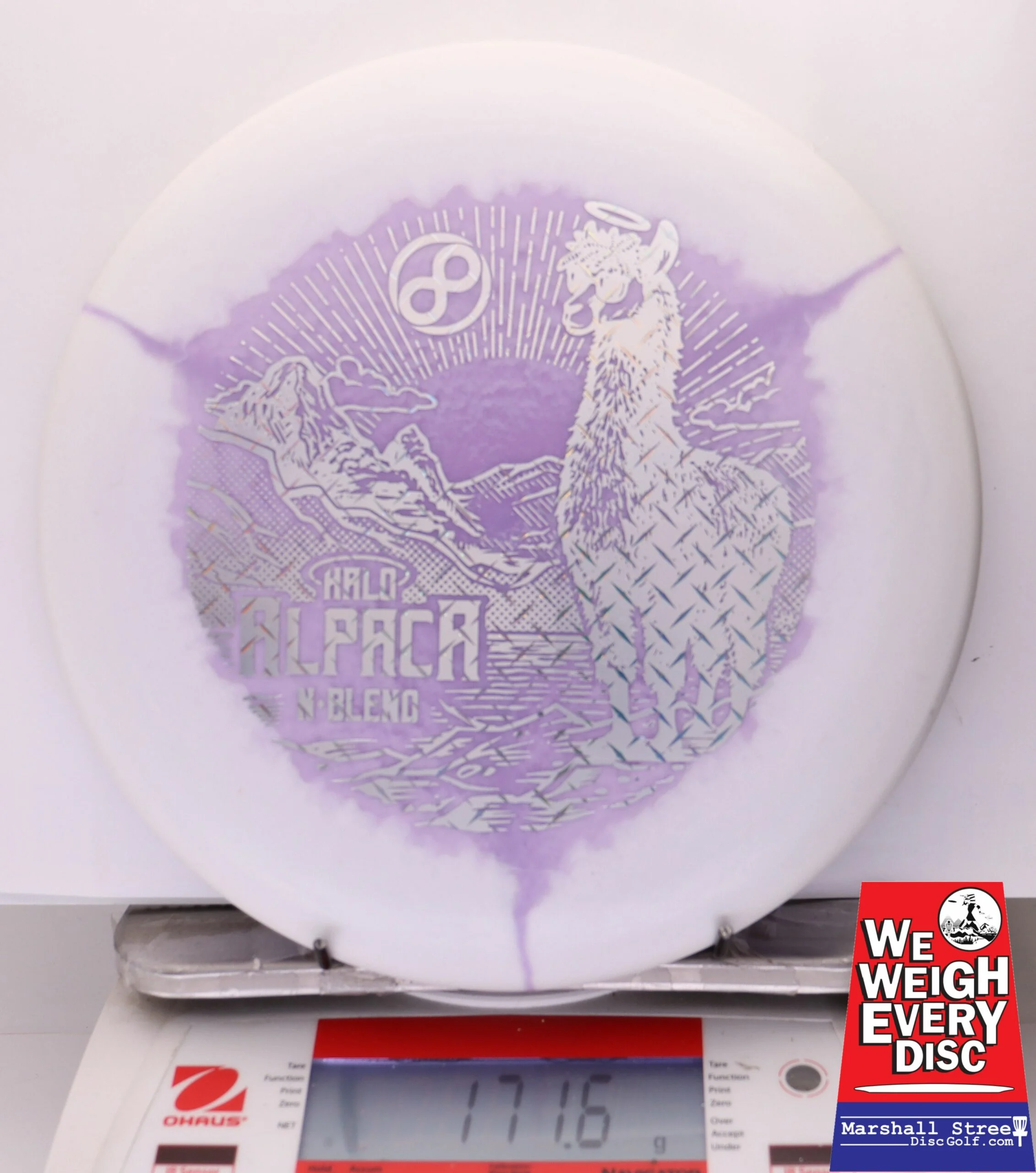 286614 Halo N-Blend Alpaca - #04 White-LtPurple, 172