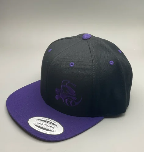 Buzzz Flat Bill Snap Hat, 2Tone - Image 9