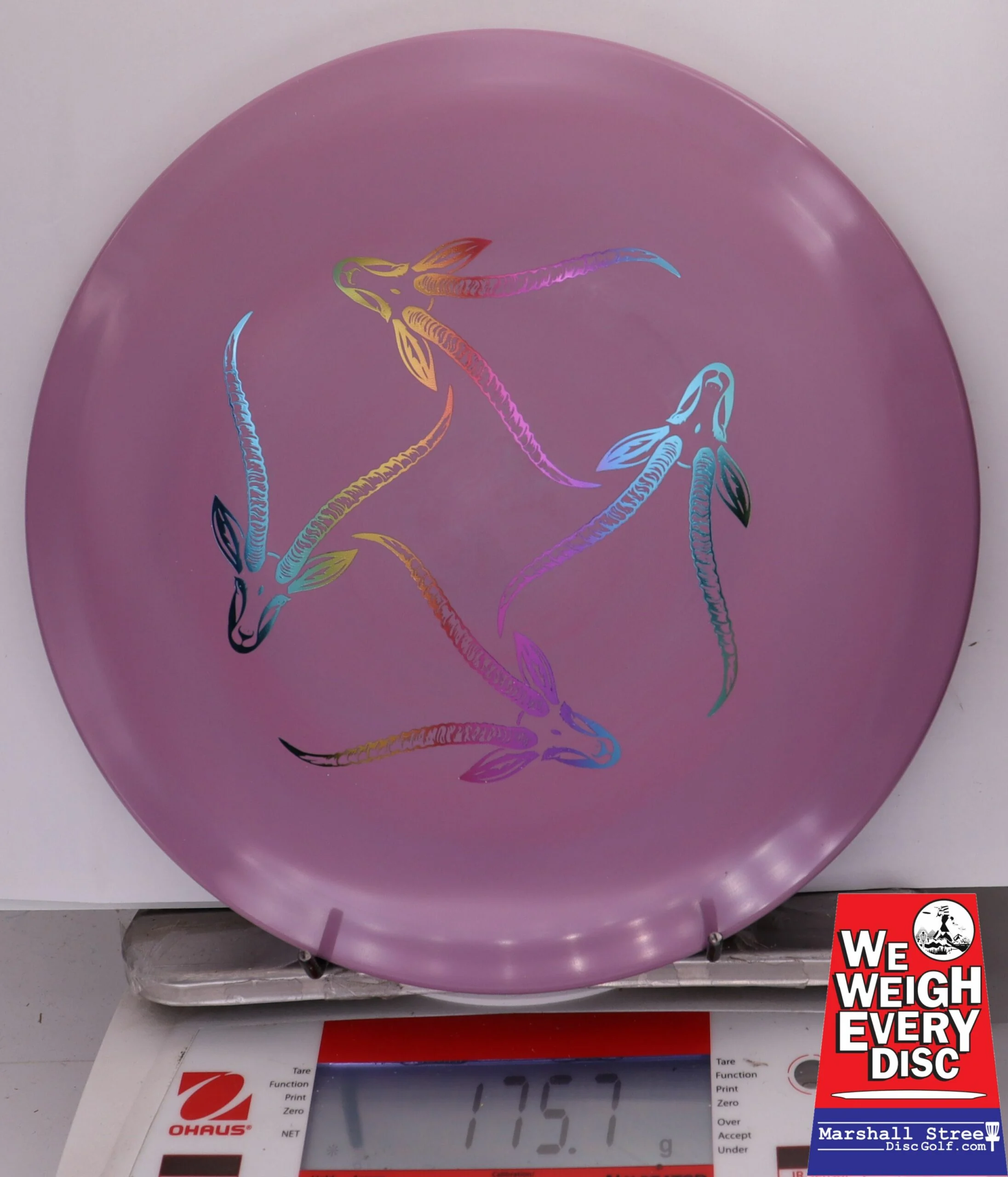 330281 Star Gazelle, Artist's Corner - #340 Purple, 176