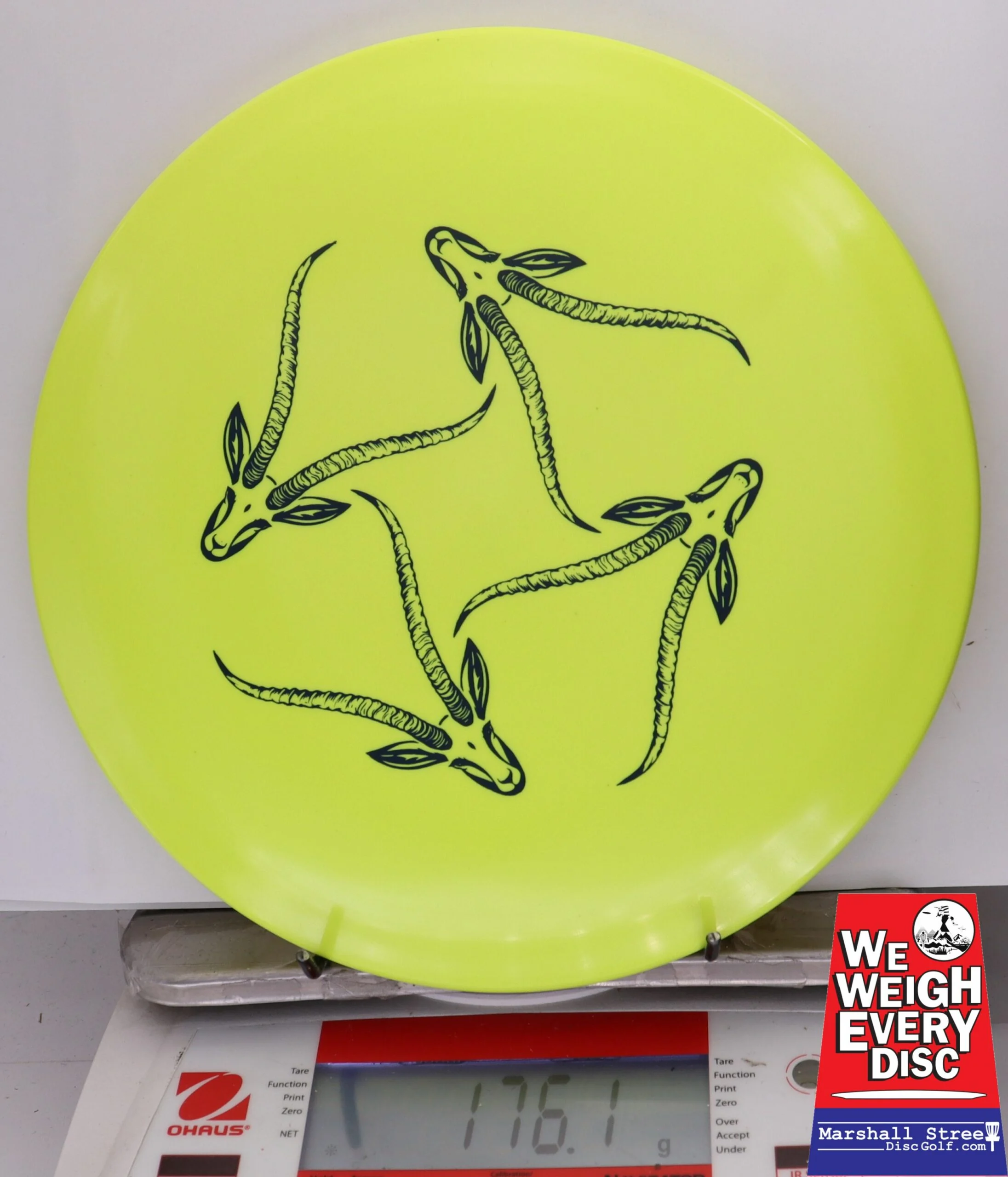 330286 Star Gazelle, Artist's Corner - #345 Yellow, 176