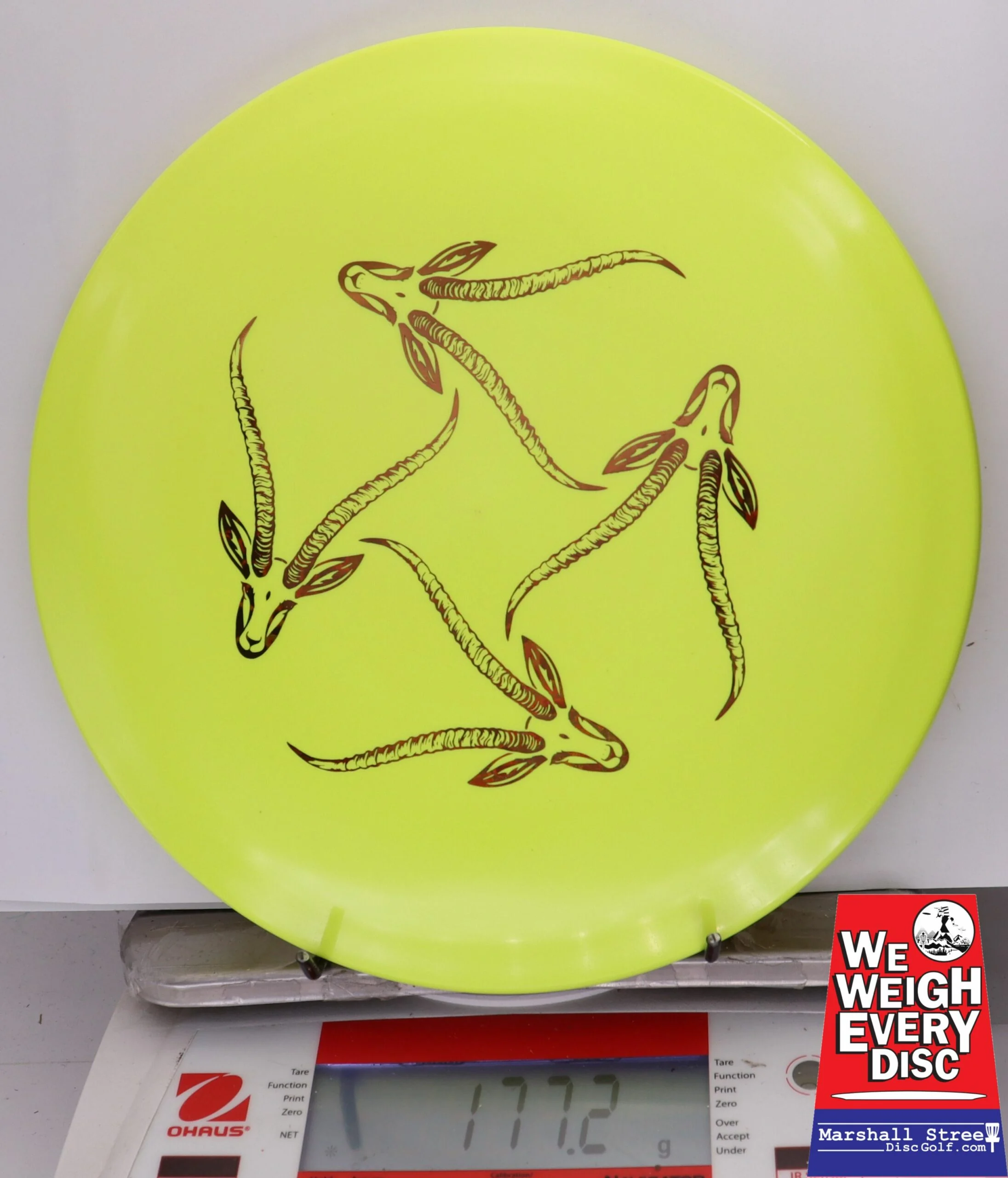 330287 Star Gazelle, Artist's Corner - #346 Yellow, 177