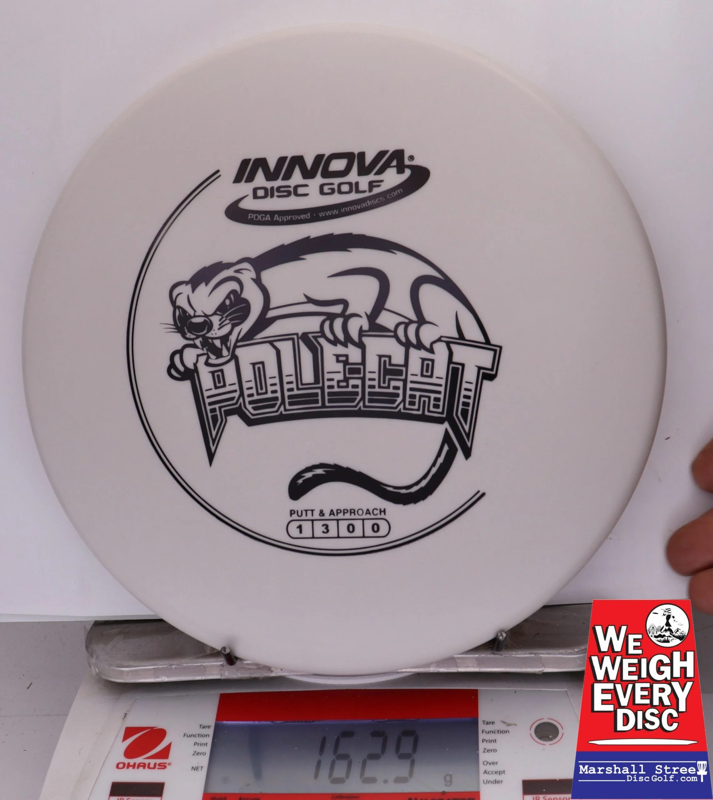 333162 DX Polecat - #355 White, 163