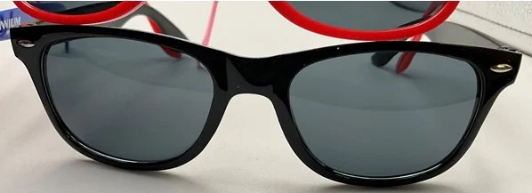 341006 Millennium Sunglasses - Black