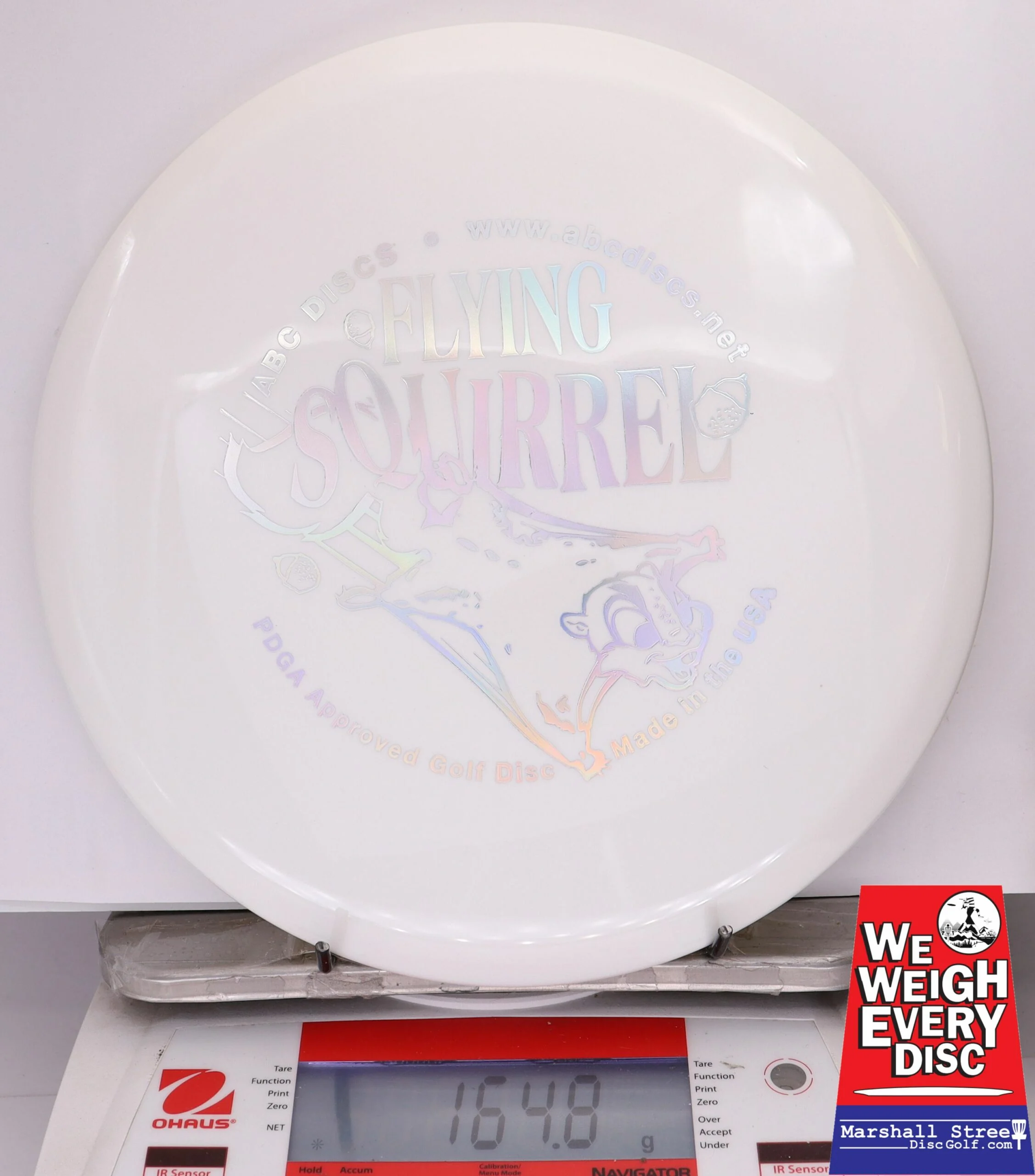 348447 Platinum Flying Squirrel - #248 White, 165
