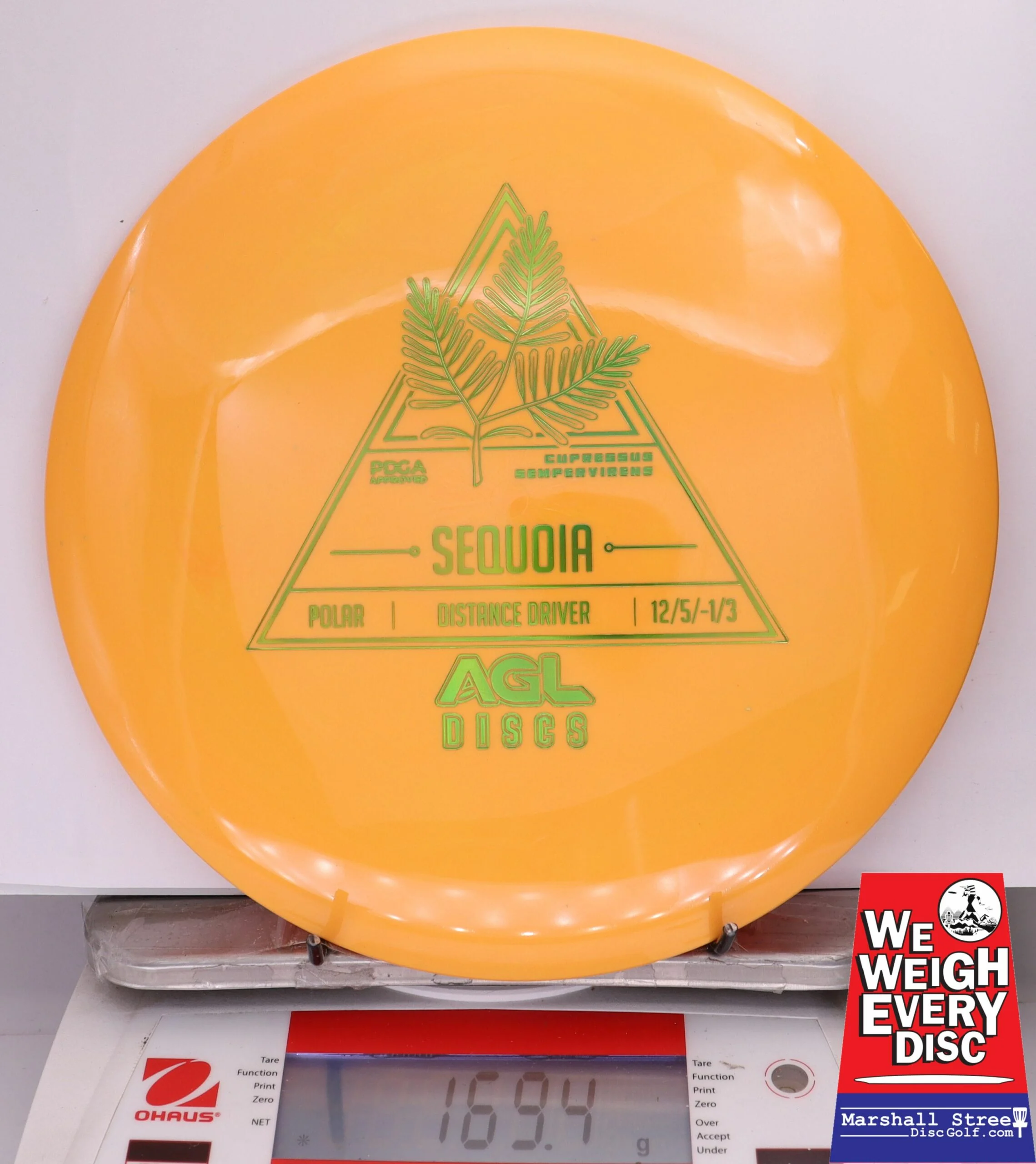 348831 Polar Sequoia - #03 Orange, 169
