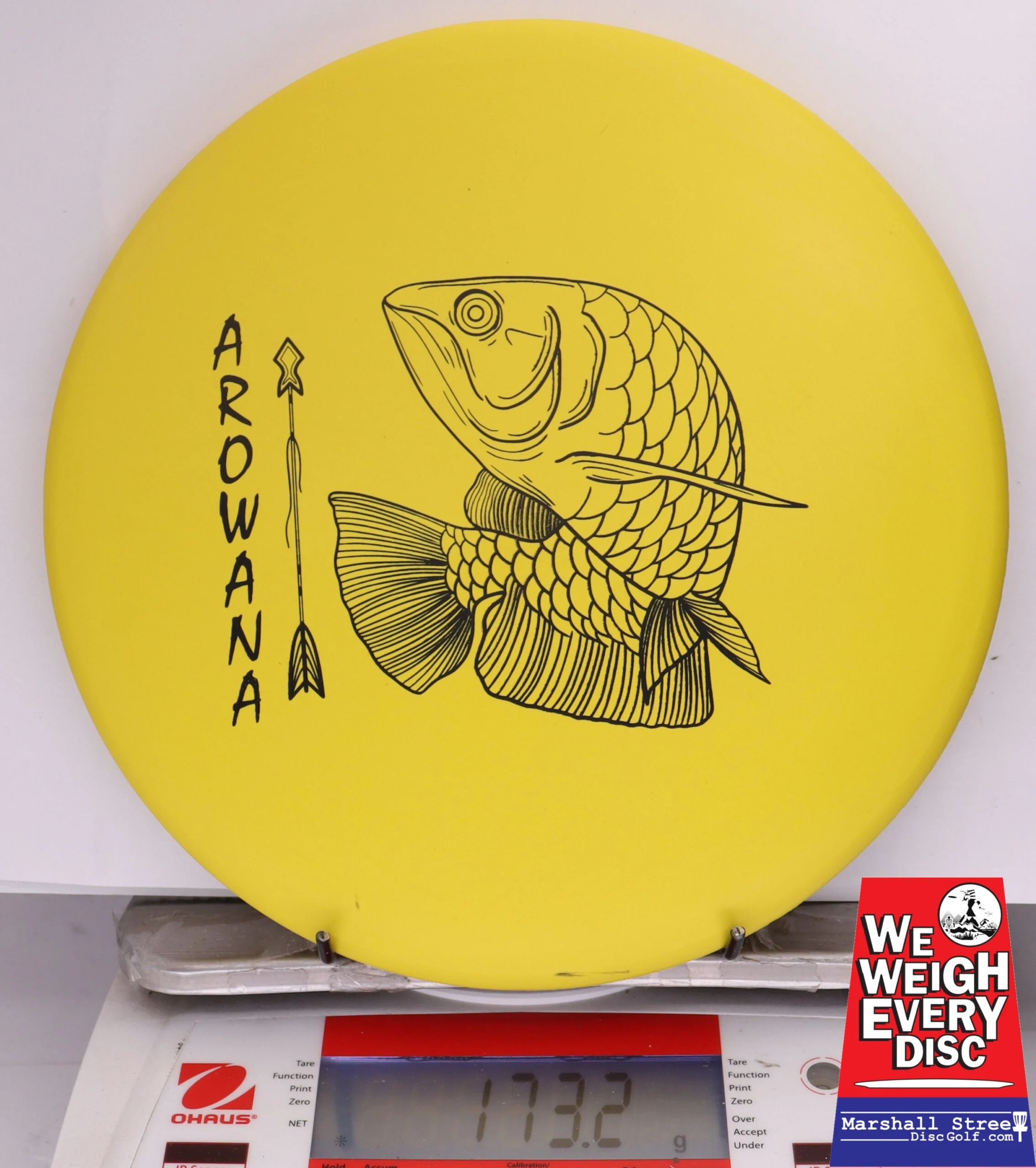 371735 ecoFIRM Arowana - #11 Lemon, 173