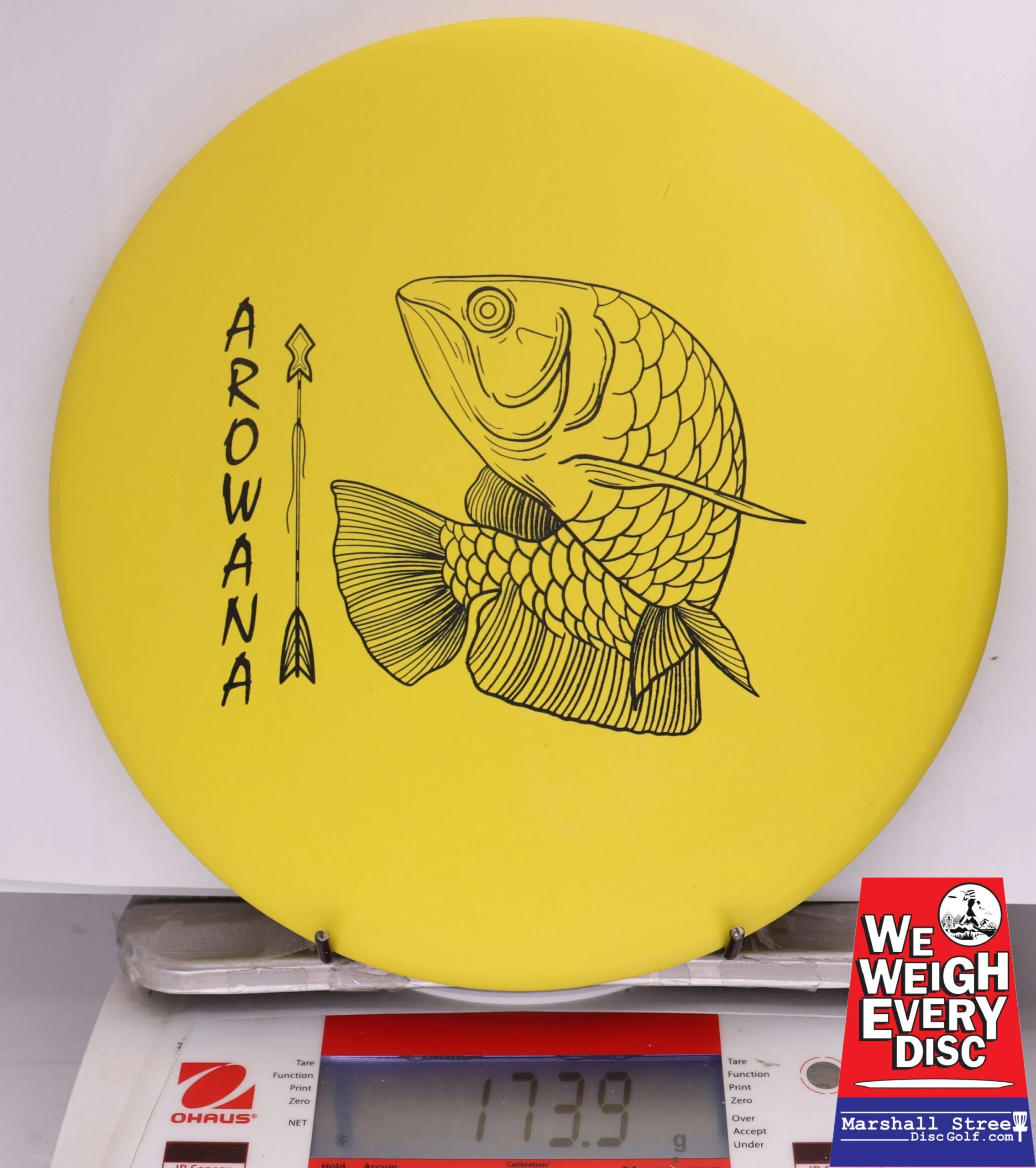371736 ecoFIRM Arowana - #12 Lemon, 174