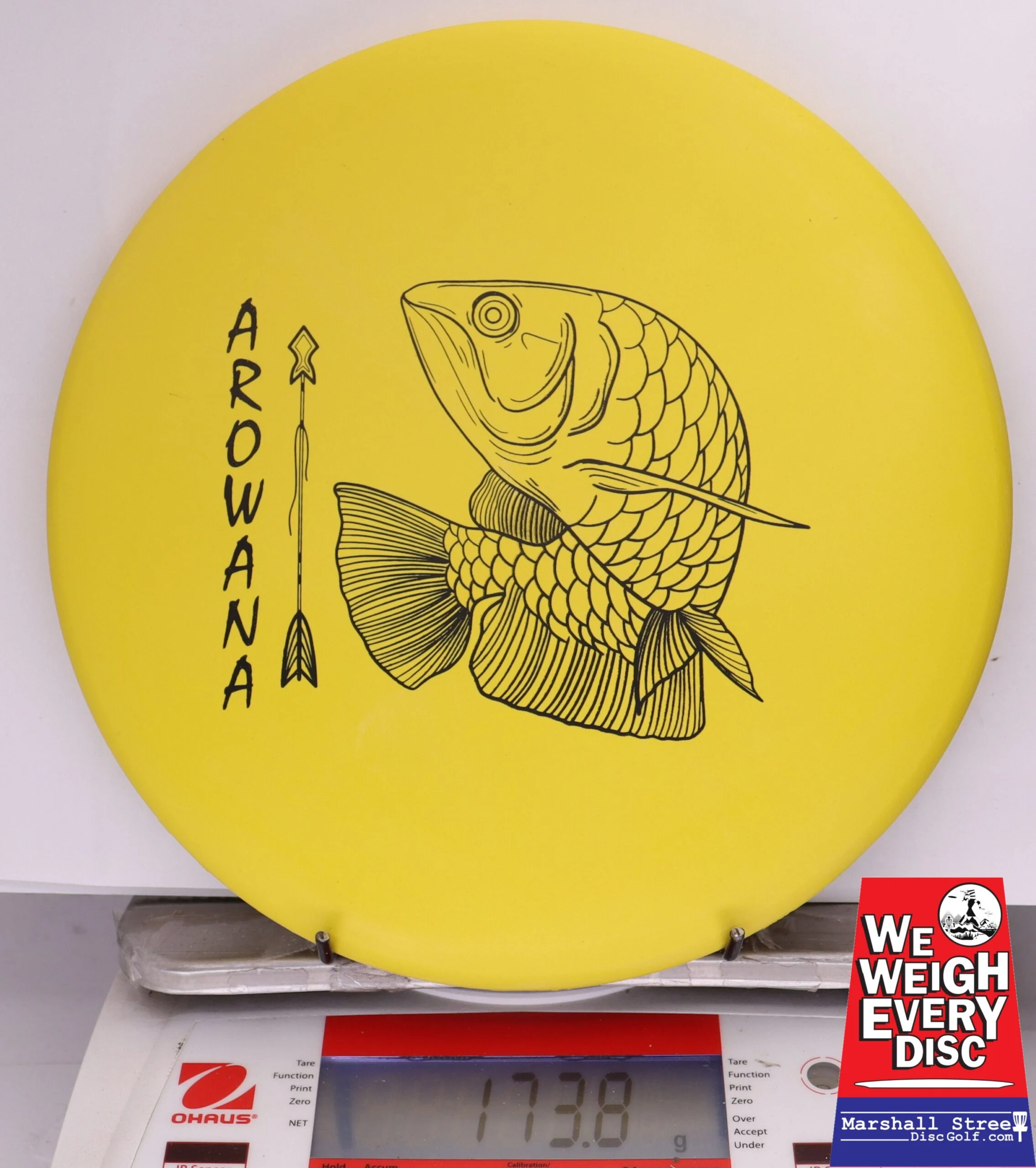 371737 ecoFIRM Arowana - #13 Lemon, 174
