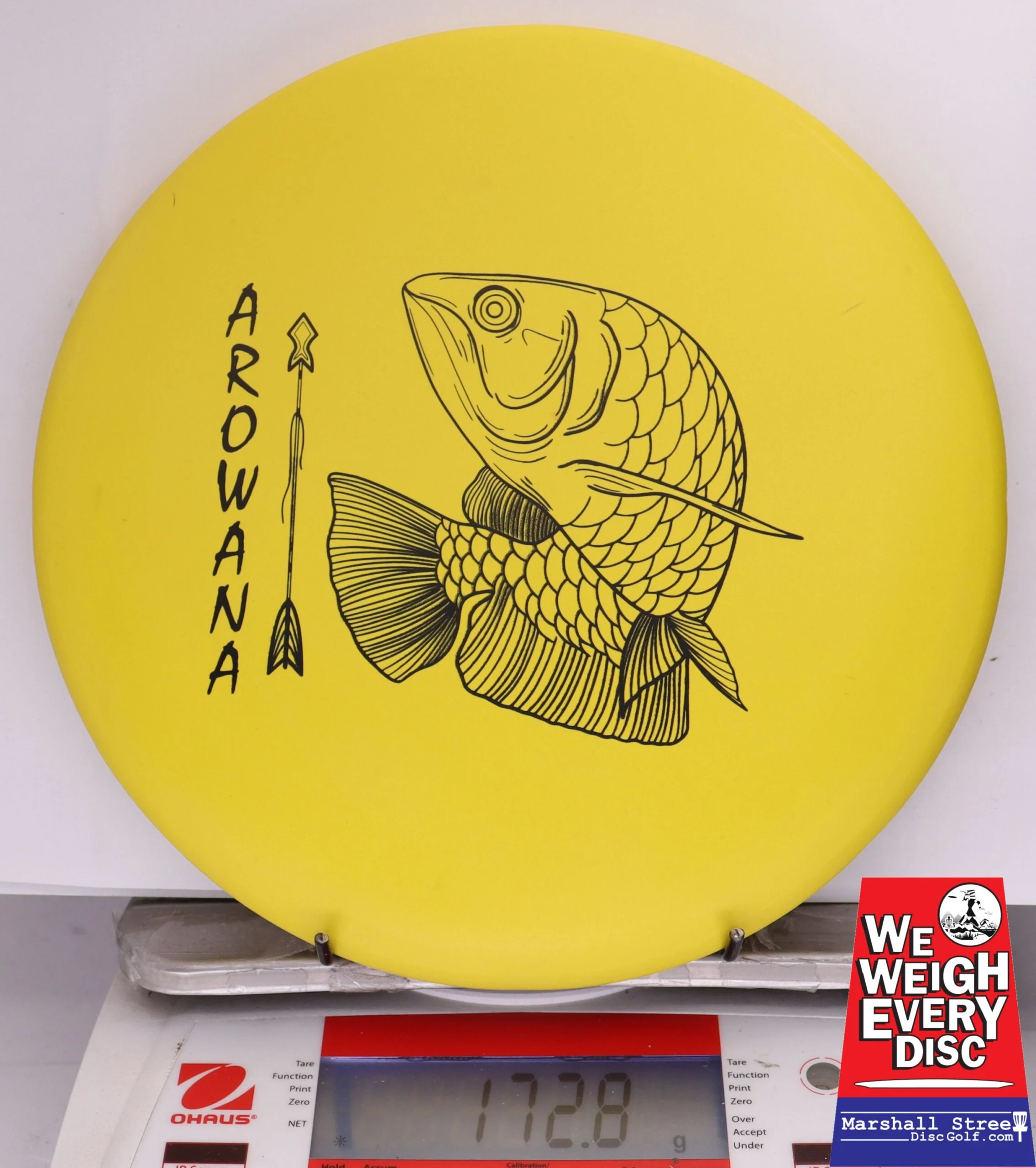 371739 ecoFIRM Arowana - #15 Lemon, 173