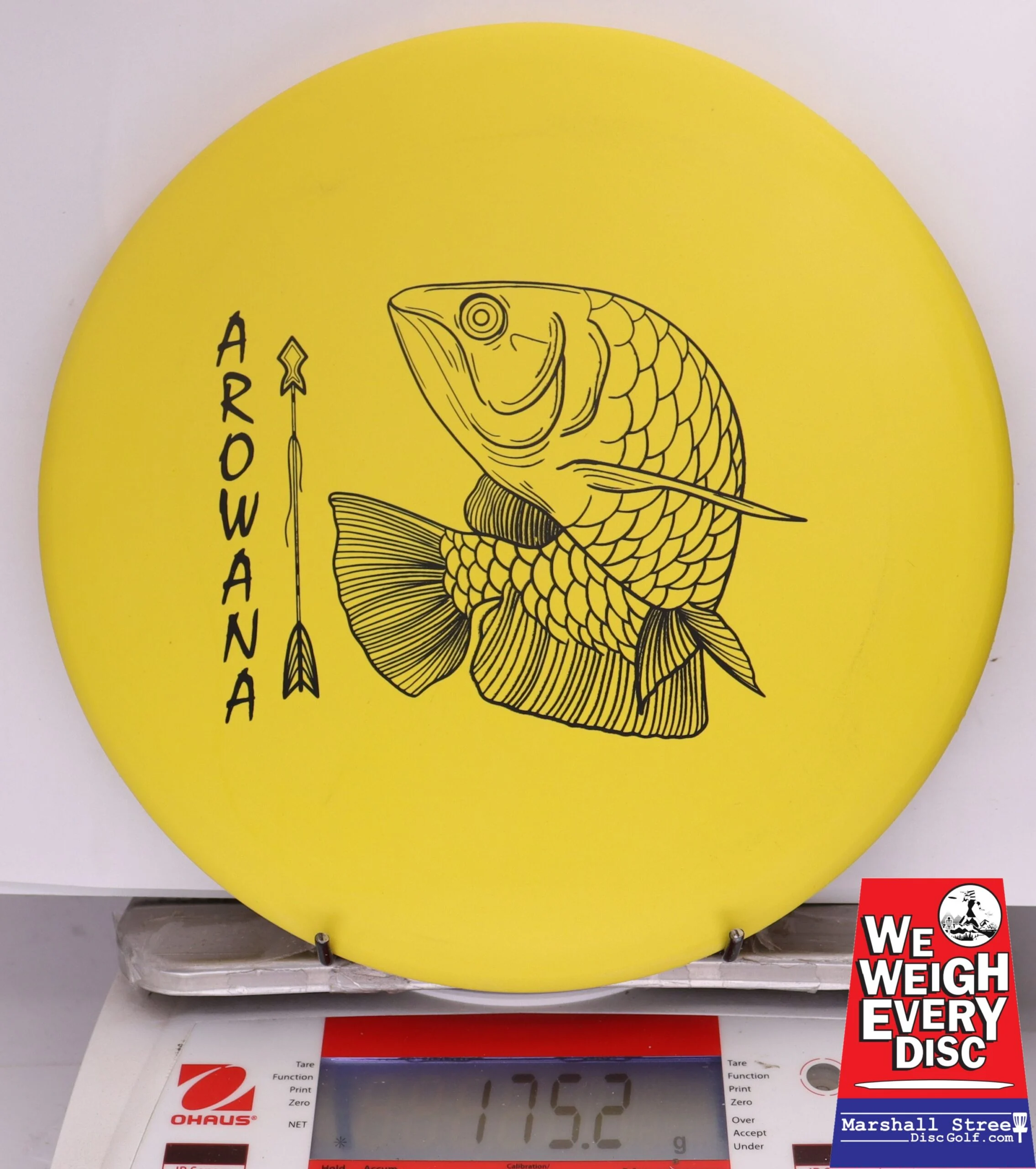 371741 ecoFIRM Arowana - #17 Lemon, 175