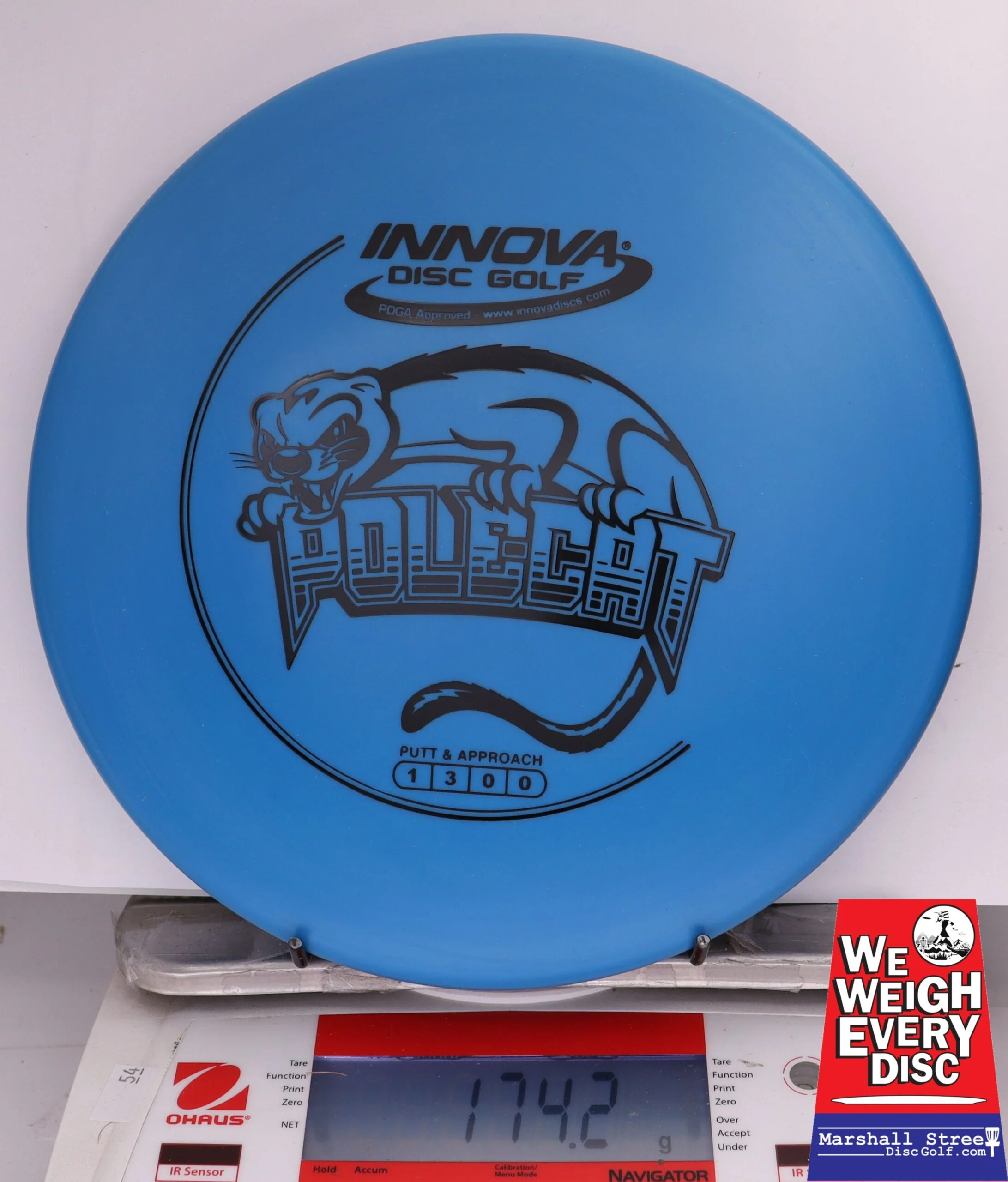 382231 DX Polecat - #608 Blue, 174