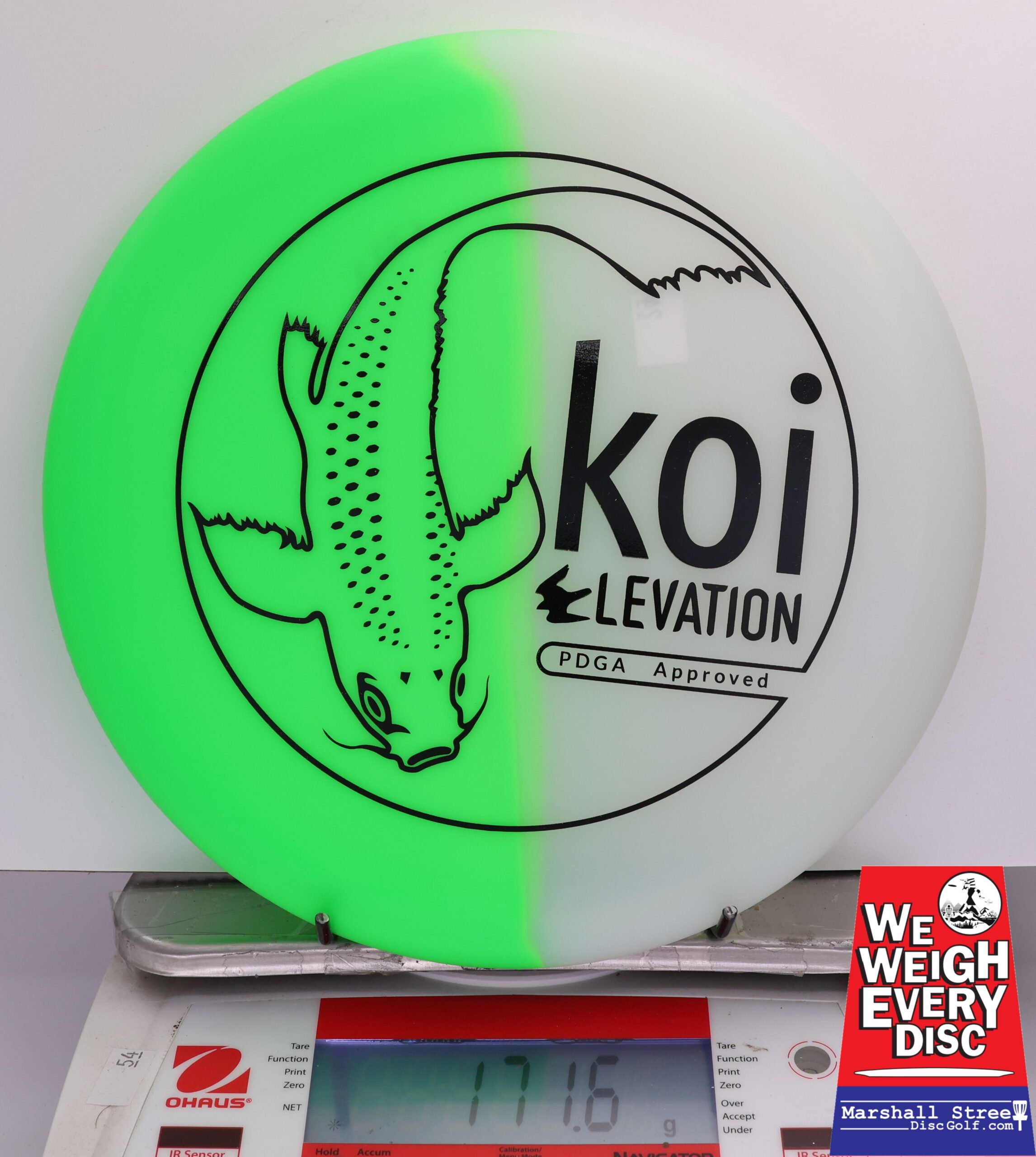 414368 glO-G Koi - #24 Key Lime, 172