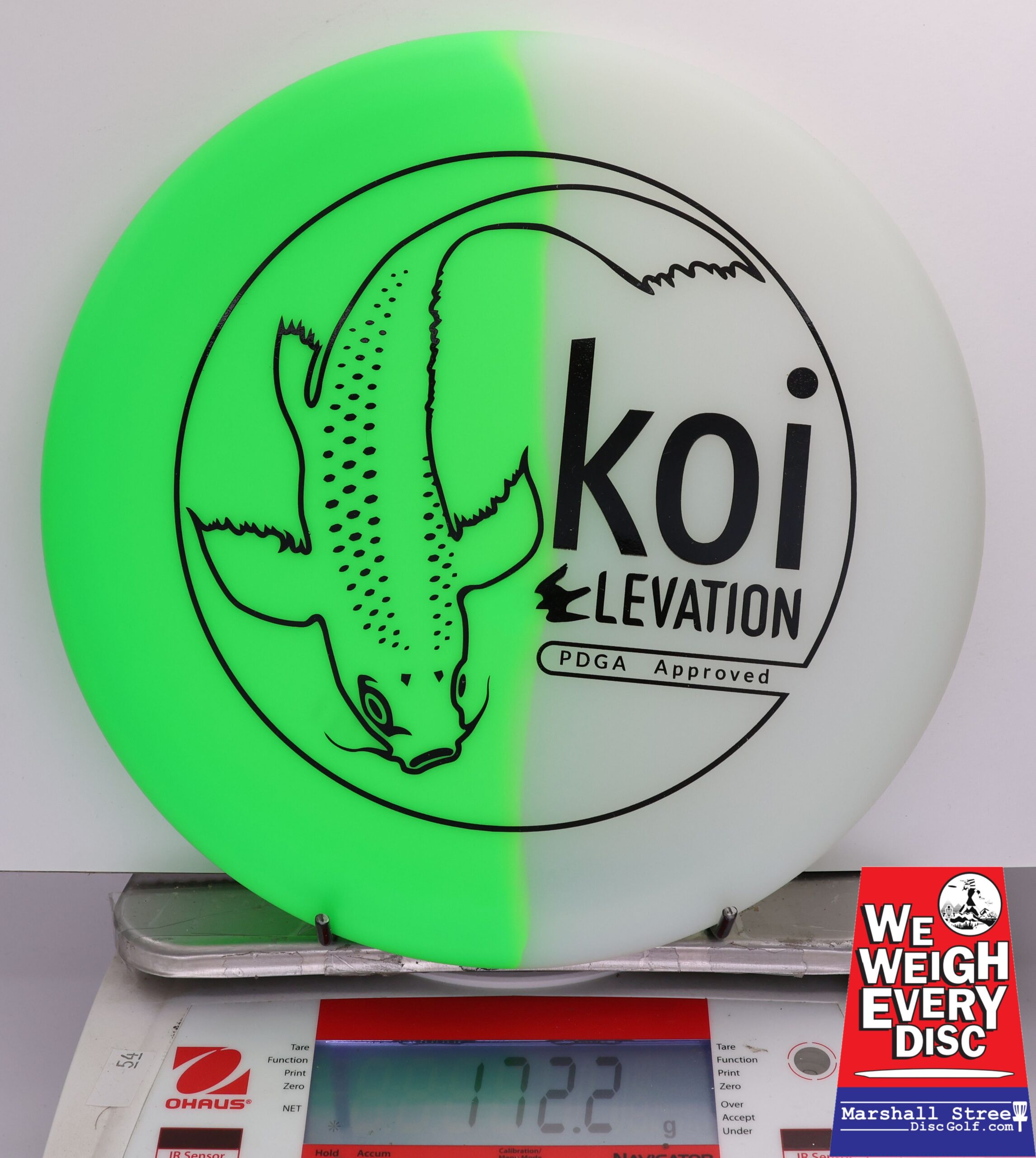 414369 glO-G Koi - #25 Key Lime, 172