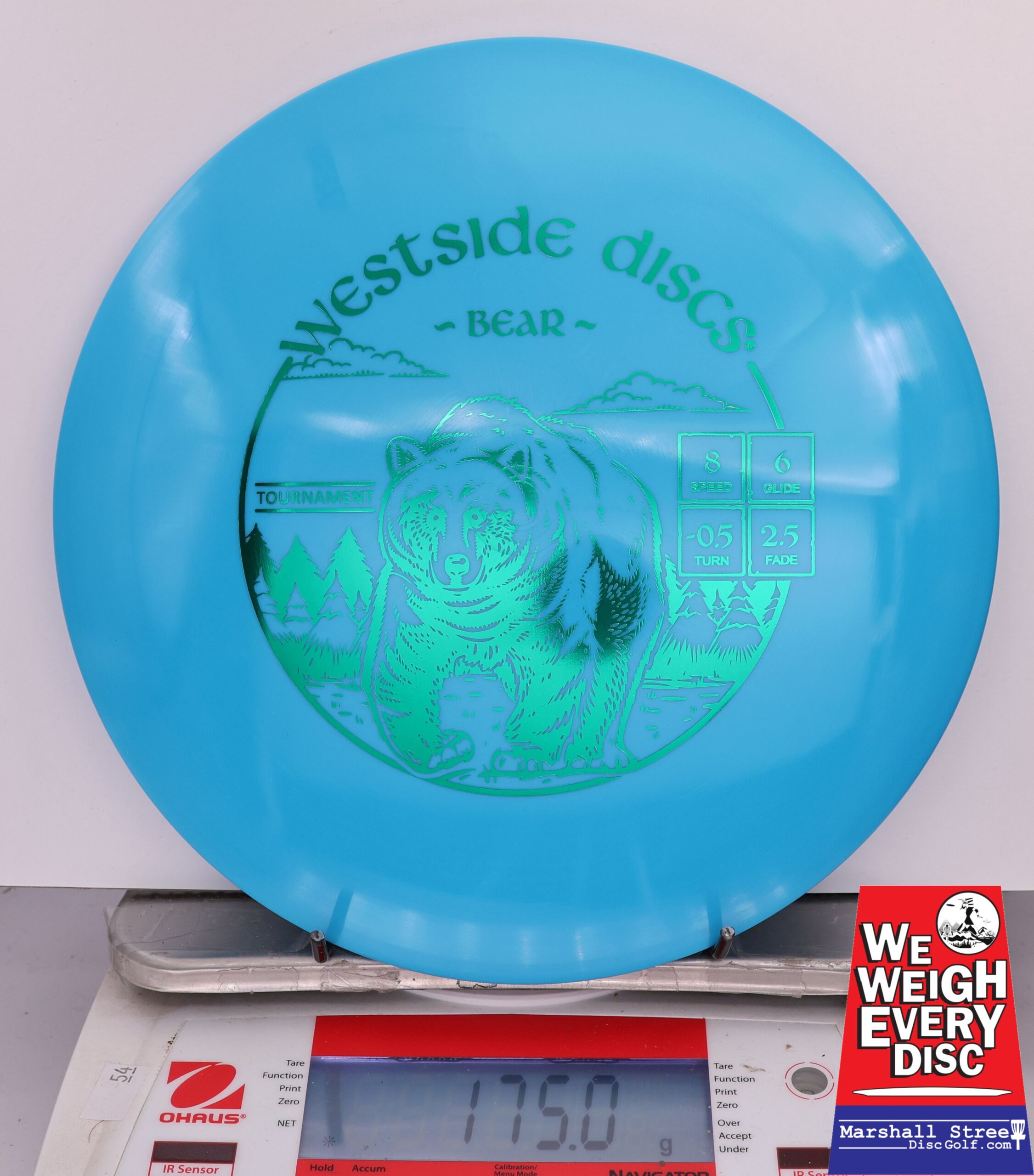 423468 Tournament Bear - #666 Blue, 175