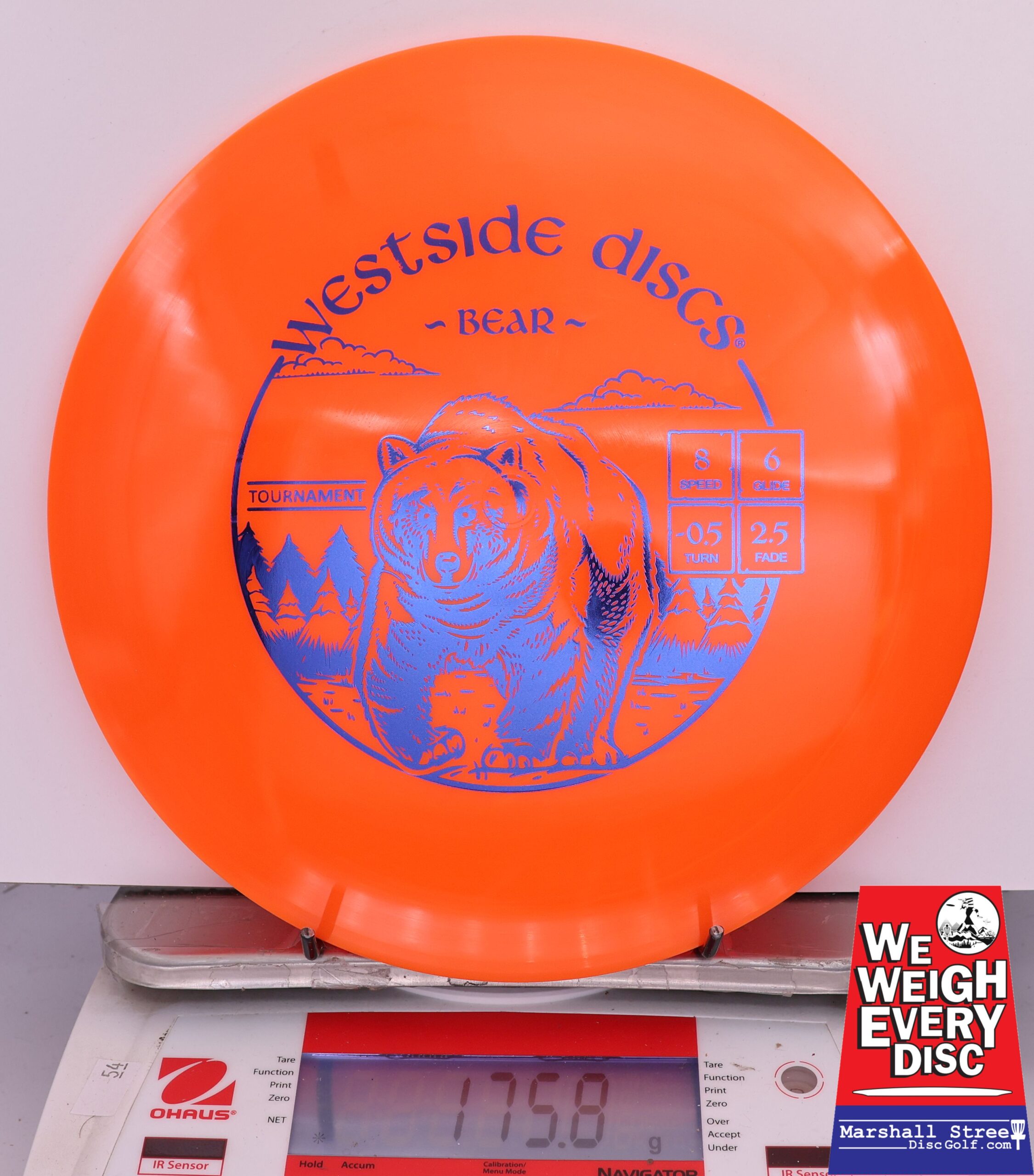 423469 Tournament Bear - #667 Orange, 176