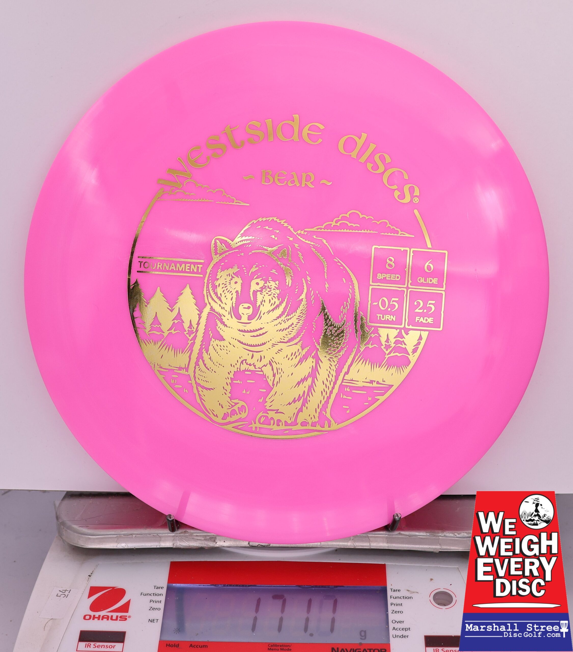 423470 Tournament Bear - #668 Pink, 171