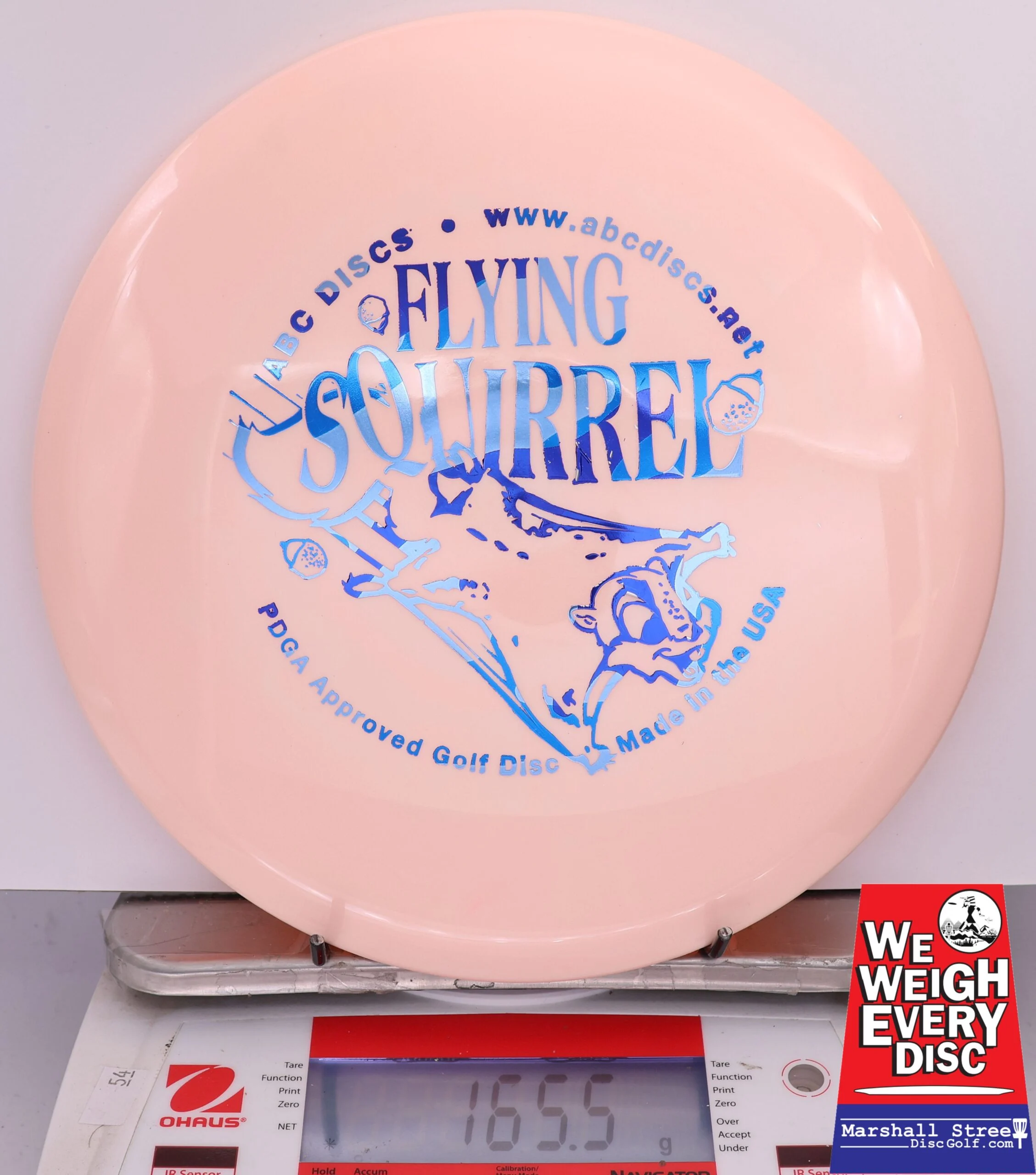 425861 Platinum Flying Squirrel - #347 Peach, 166