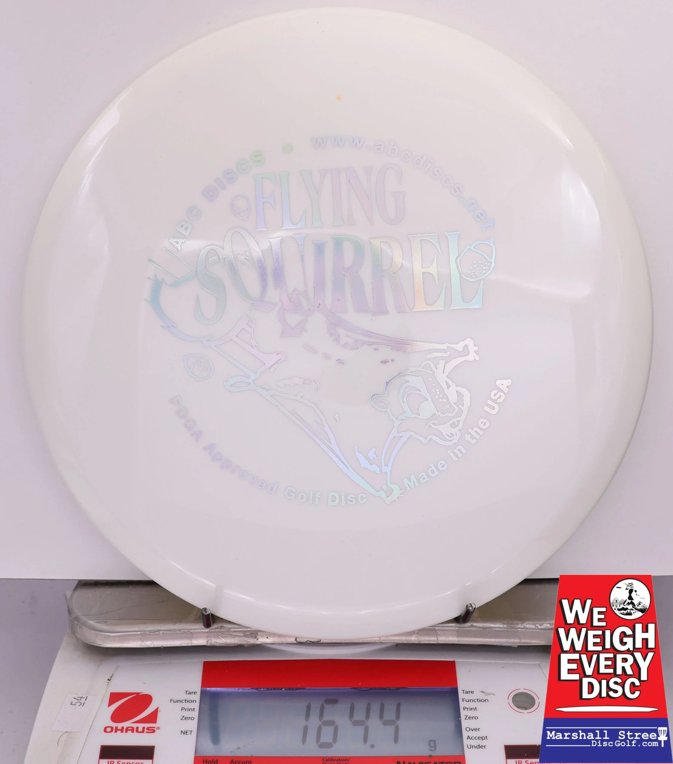 425863 Platinum Flying Squirrel - #349 White, 164