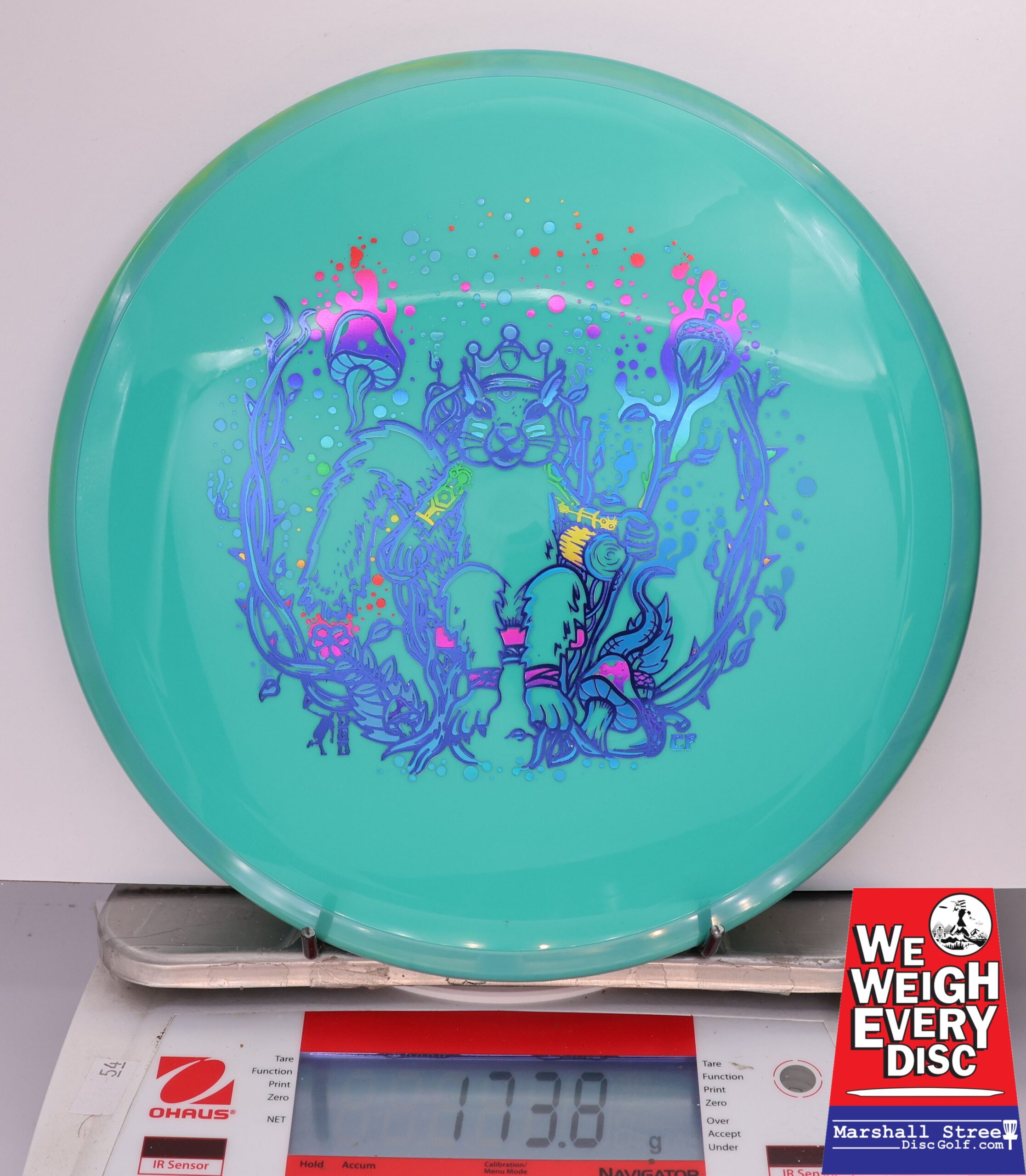 429374 Neutron Crave, Squirrel King - #201 Teal, 174