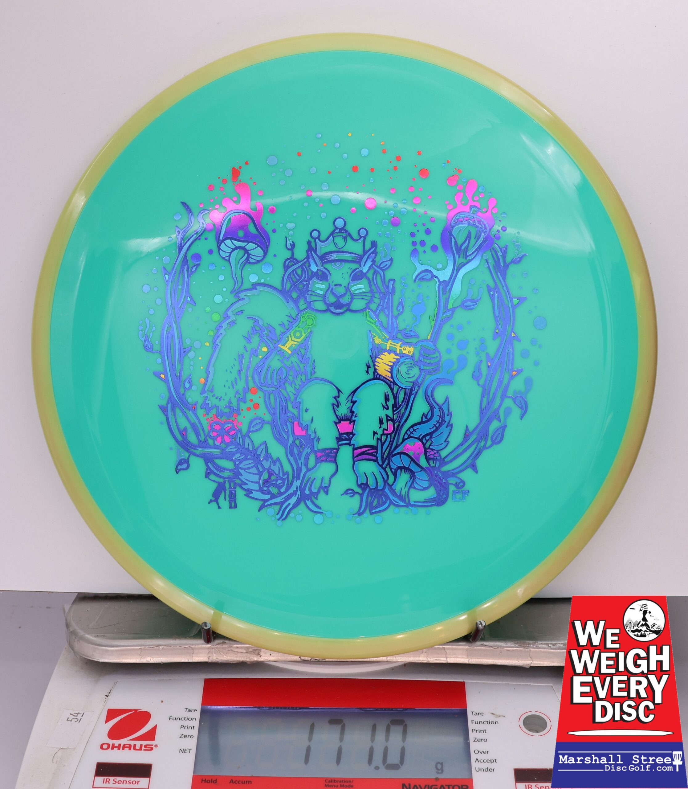 429376 Neutron Crave, Squirrel King - #203 Yellow-Teal, 171