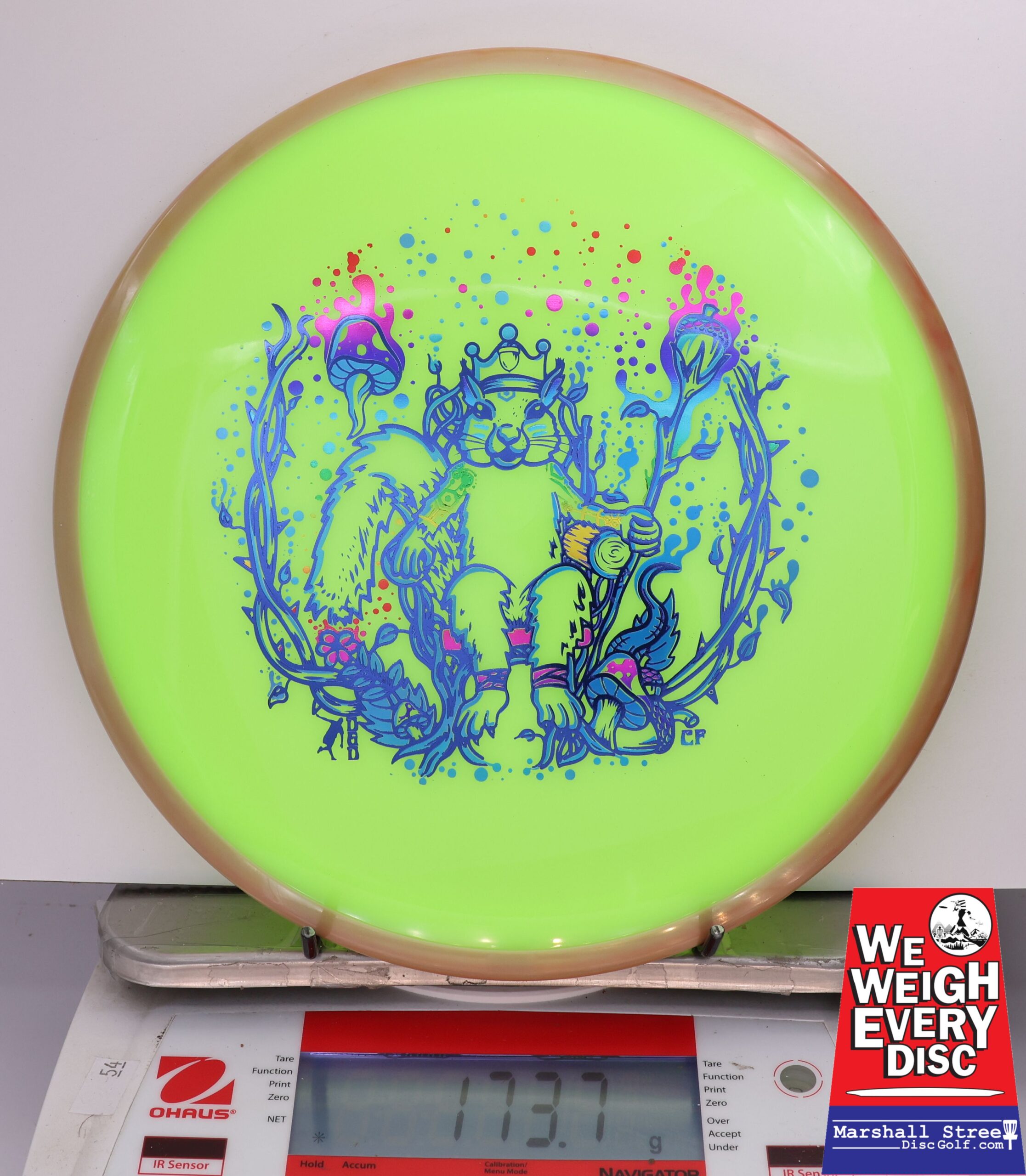 429379 Neutron Crave, Squirrel King - #206 Orange-NGrellow, 174