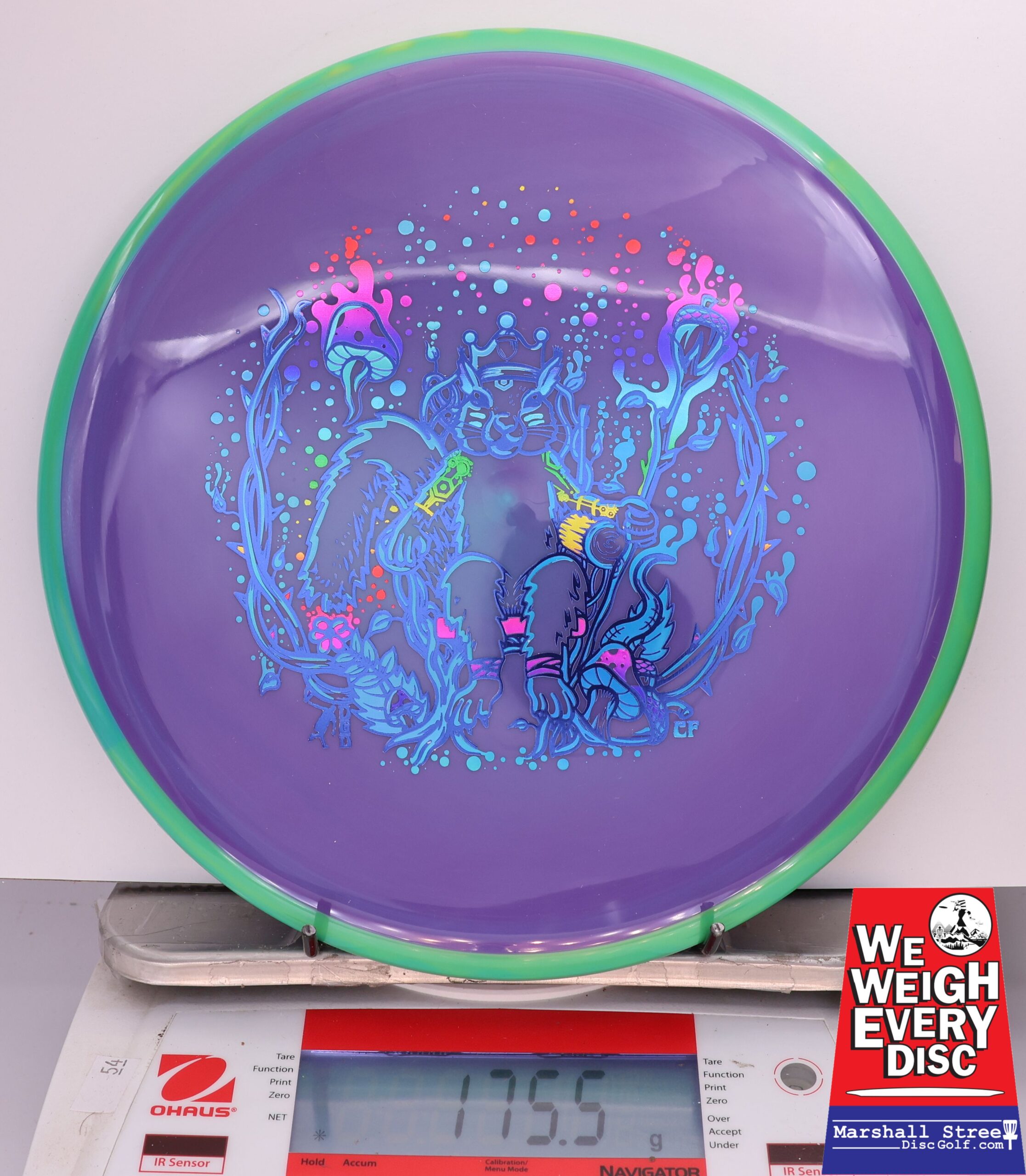 429393 Neutron Hex, Squirrel King - #200 Green-Purple, 176