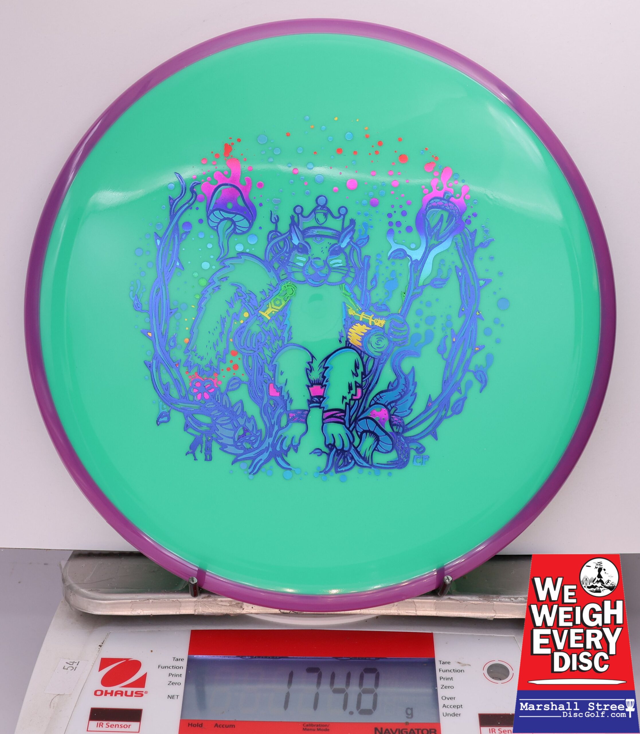 429395 Neutron Hex, Squirrel King - #202 Purple-Green, 175