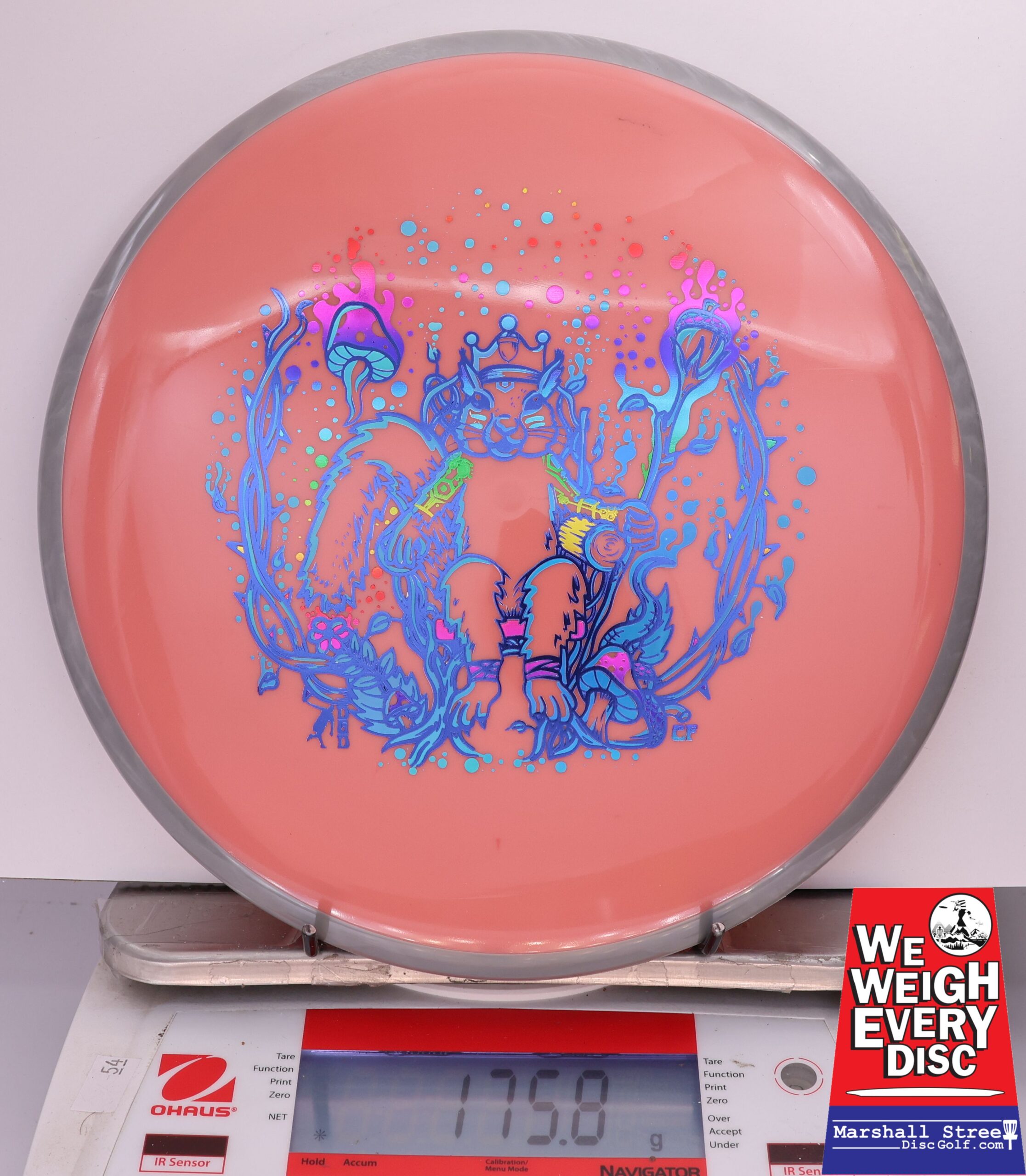 429398 Neutron Hex, Squirrel King - #205 Gray-Salmon, 176