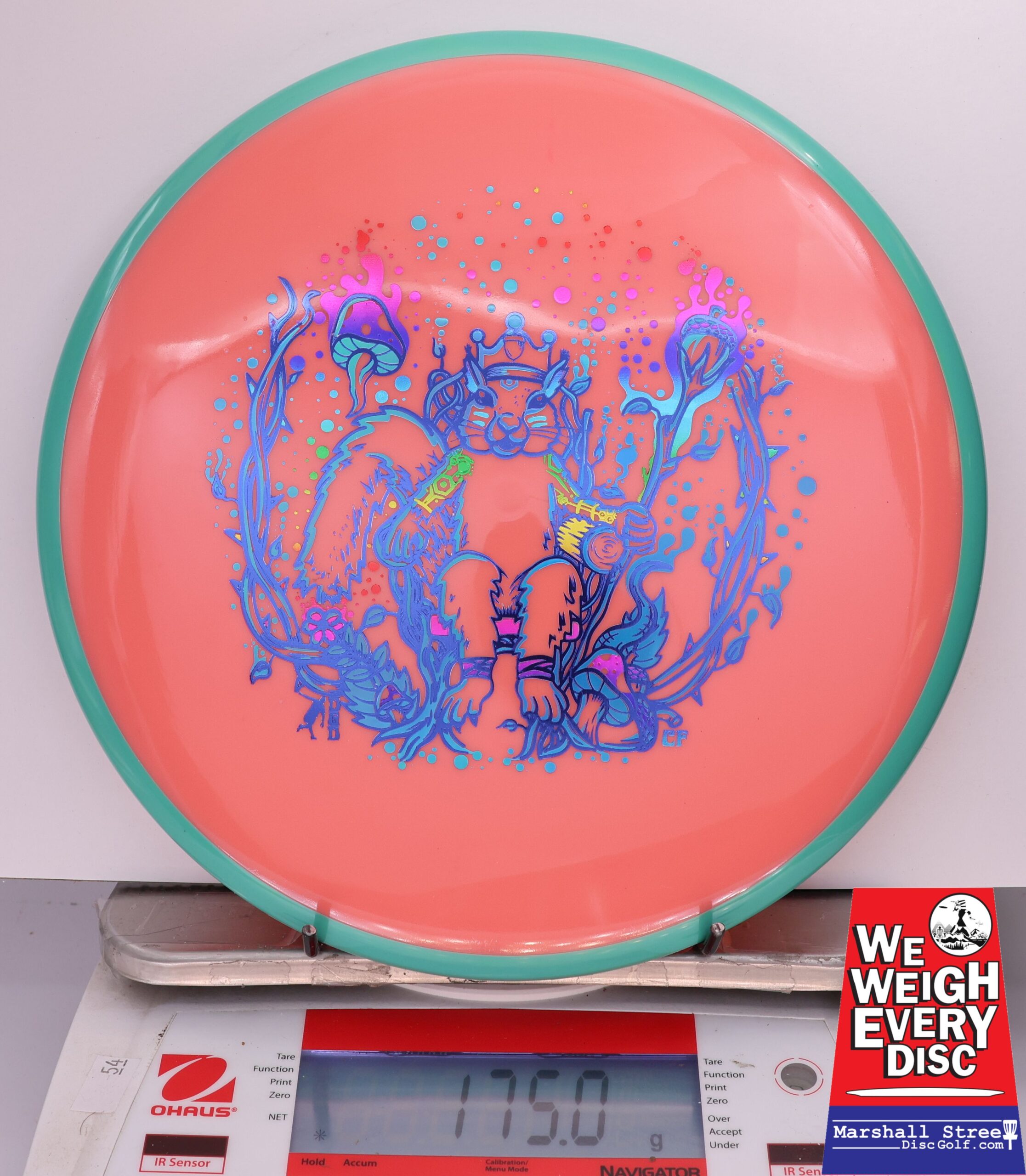 429400 Neutron Hex, Squirrel King - #207 Teal-Salmon, 175