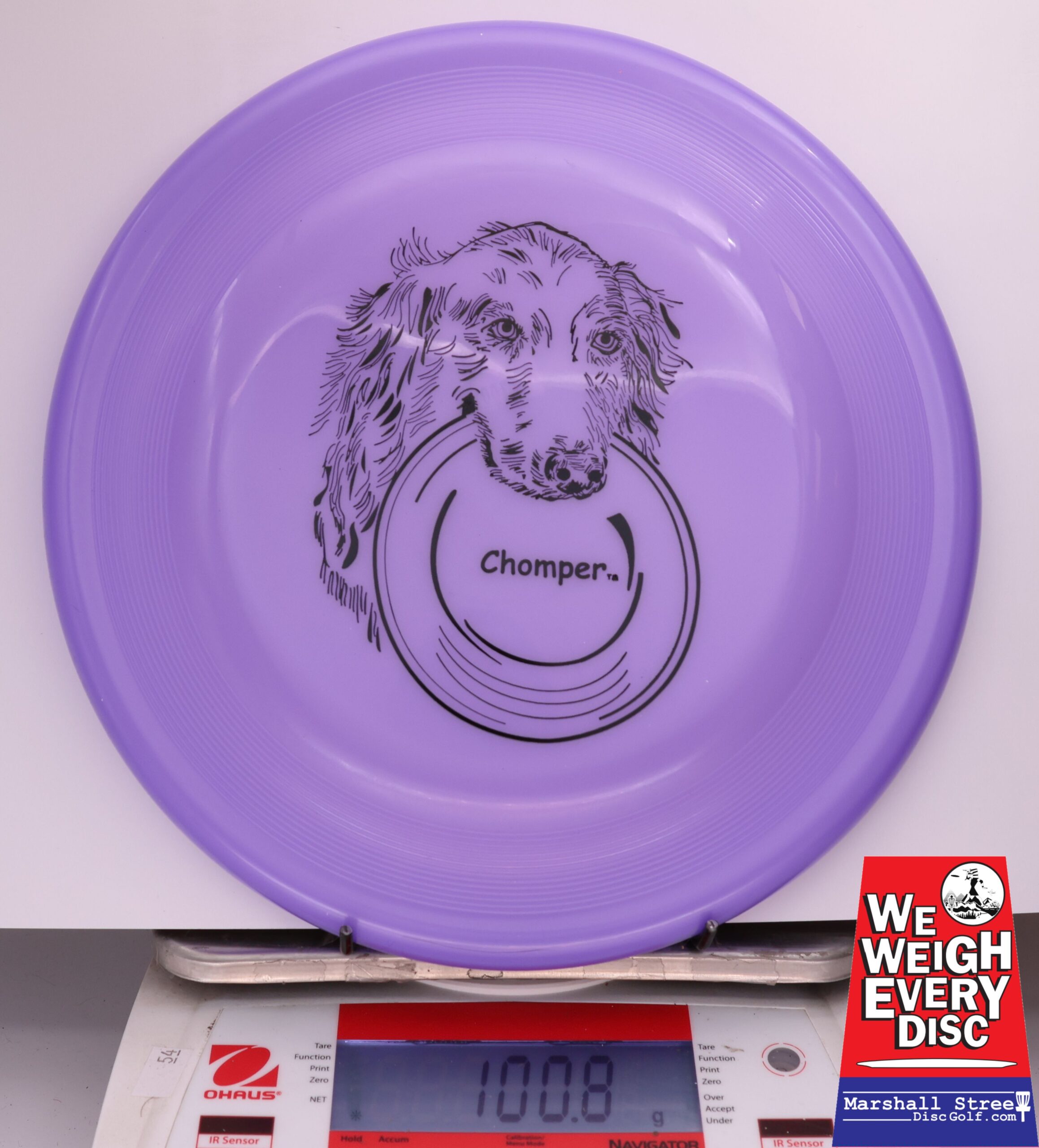 433415 Chomper Classic - #100 Purple, 101