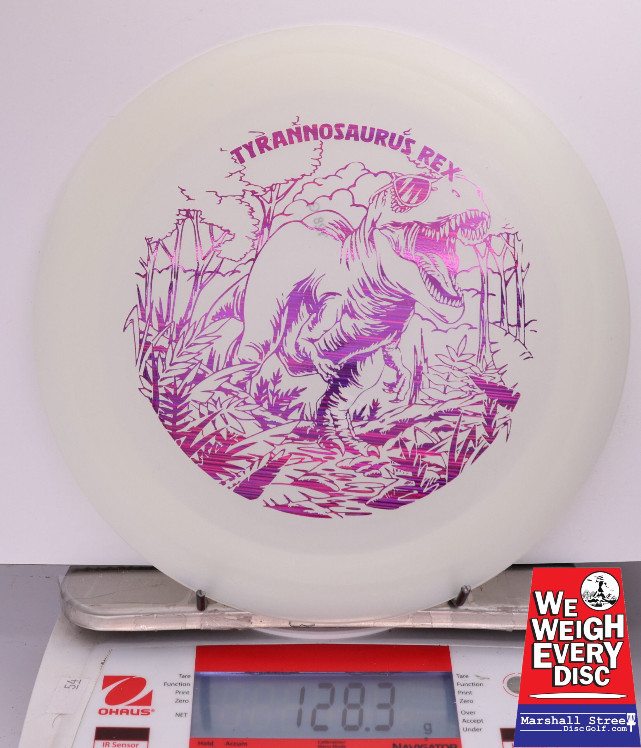 433844 Glow Egg Shell Tyrannosaurus Rex - #414 Glow, 128