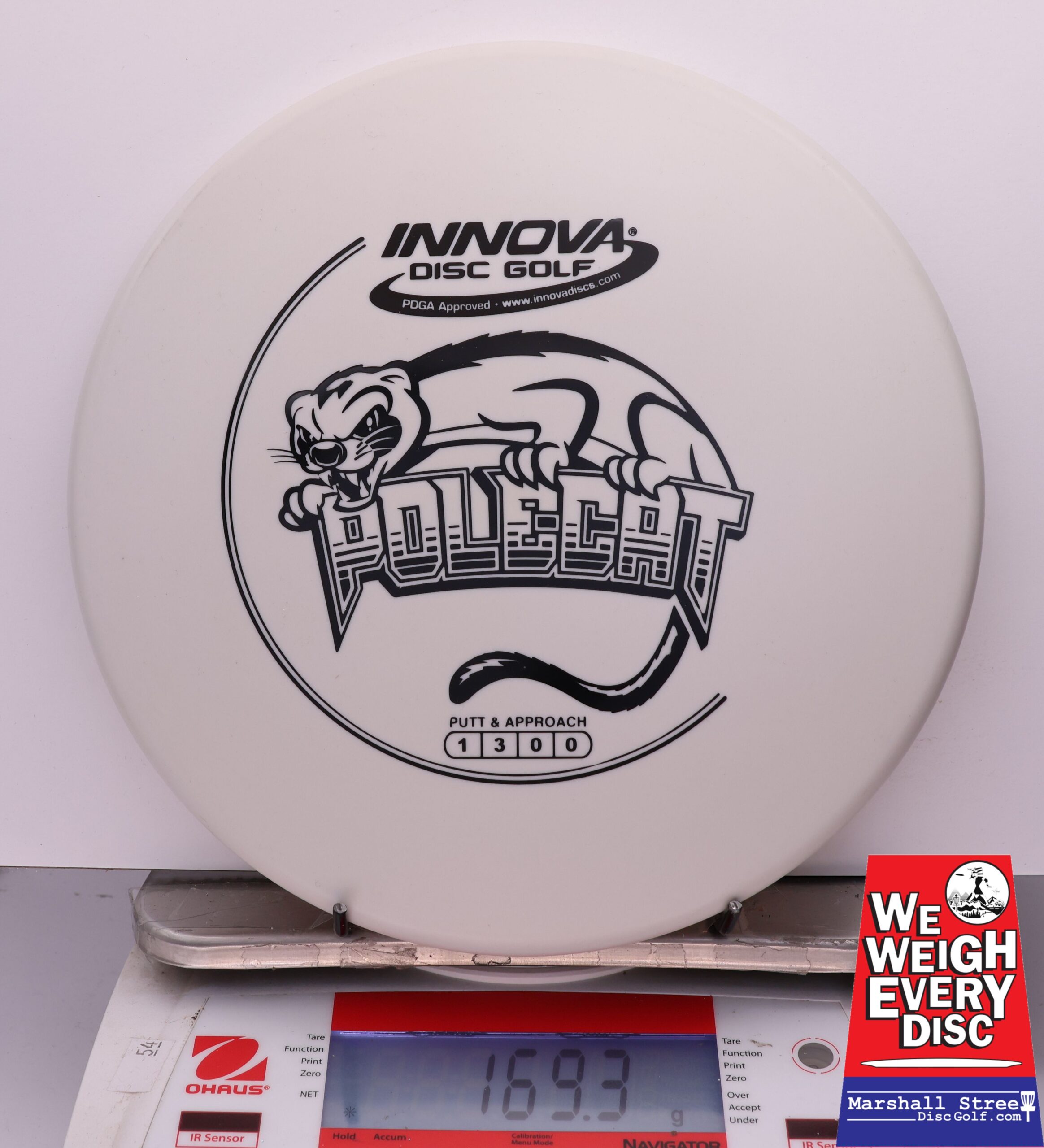 441238 DX Polecat - #917 White, 169