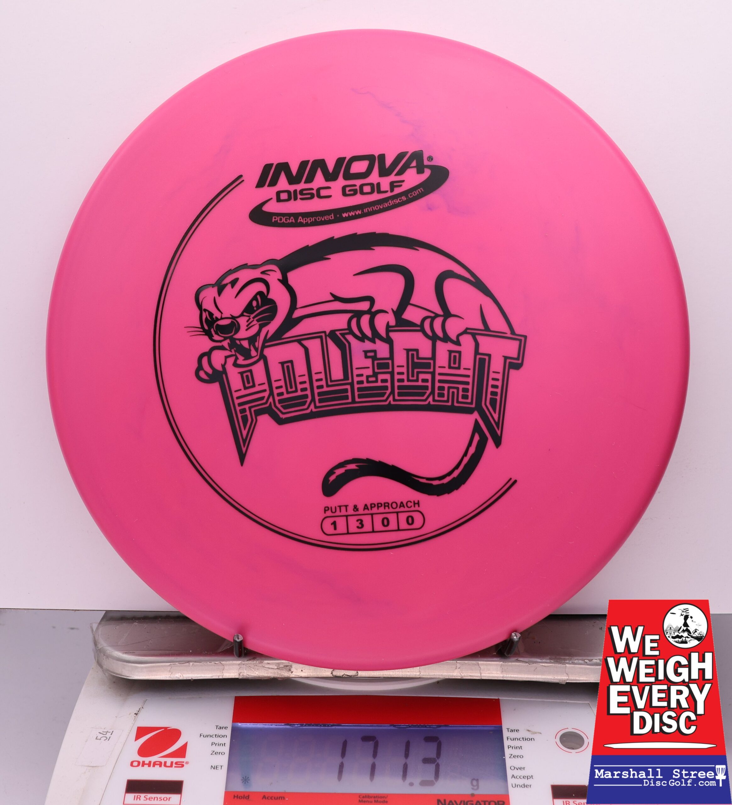 441239 DX Polecat - #918 Pink, 171