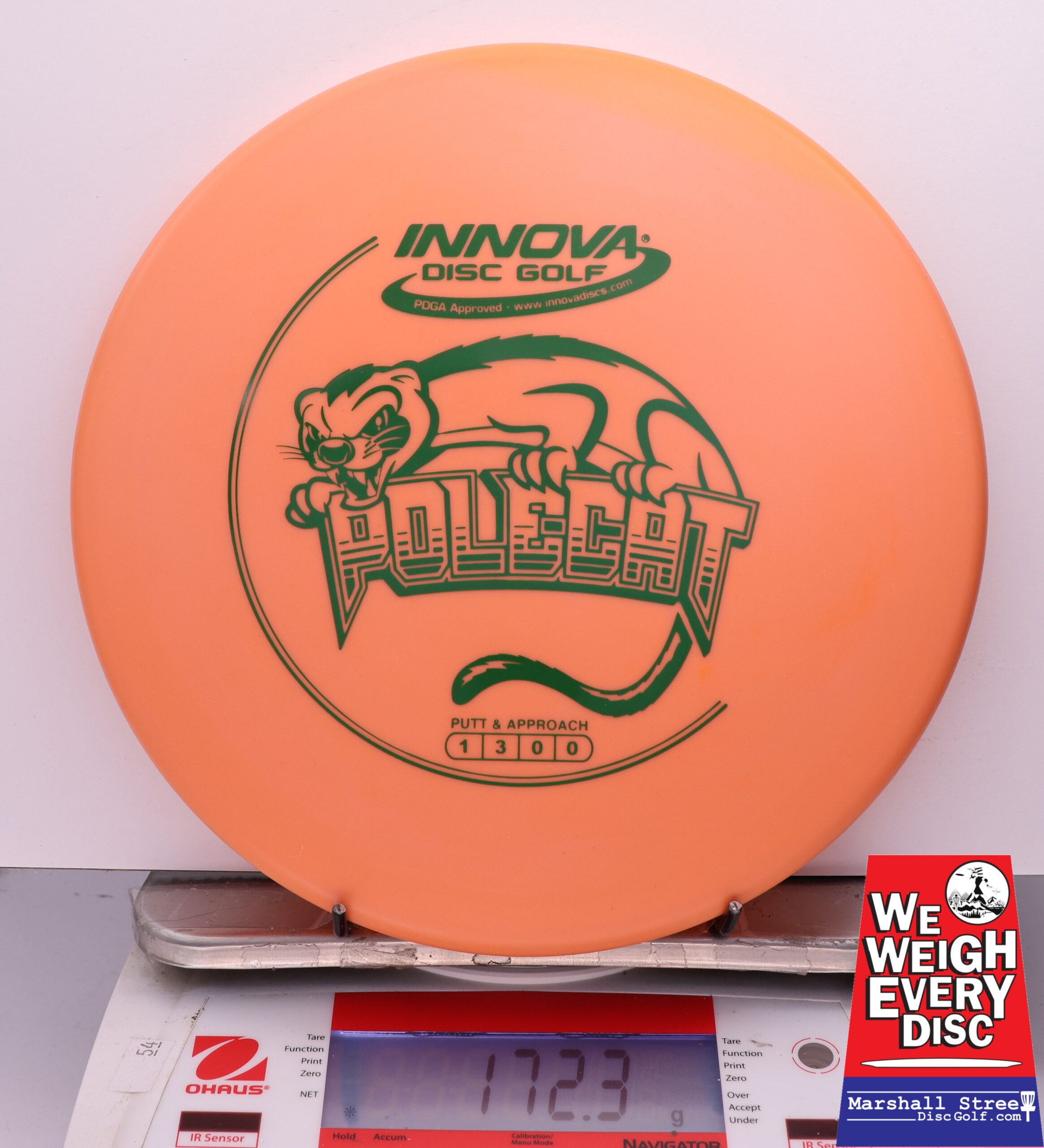 441240 DX Polecat - #919 Orange, 172