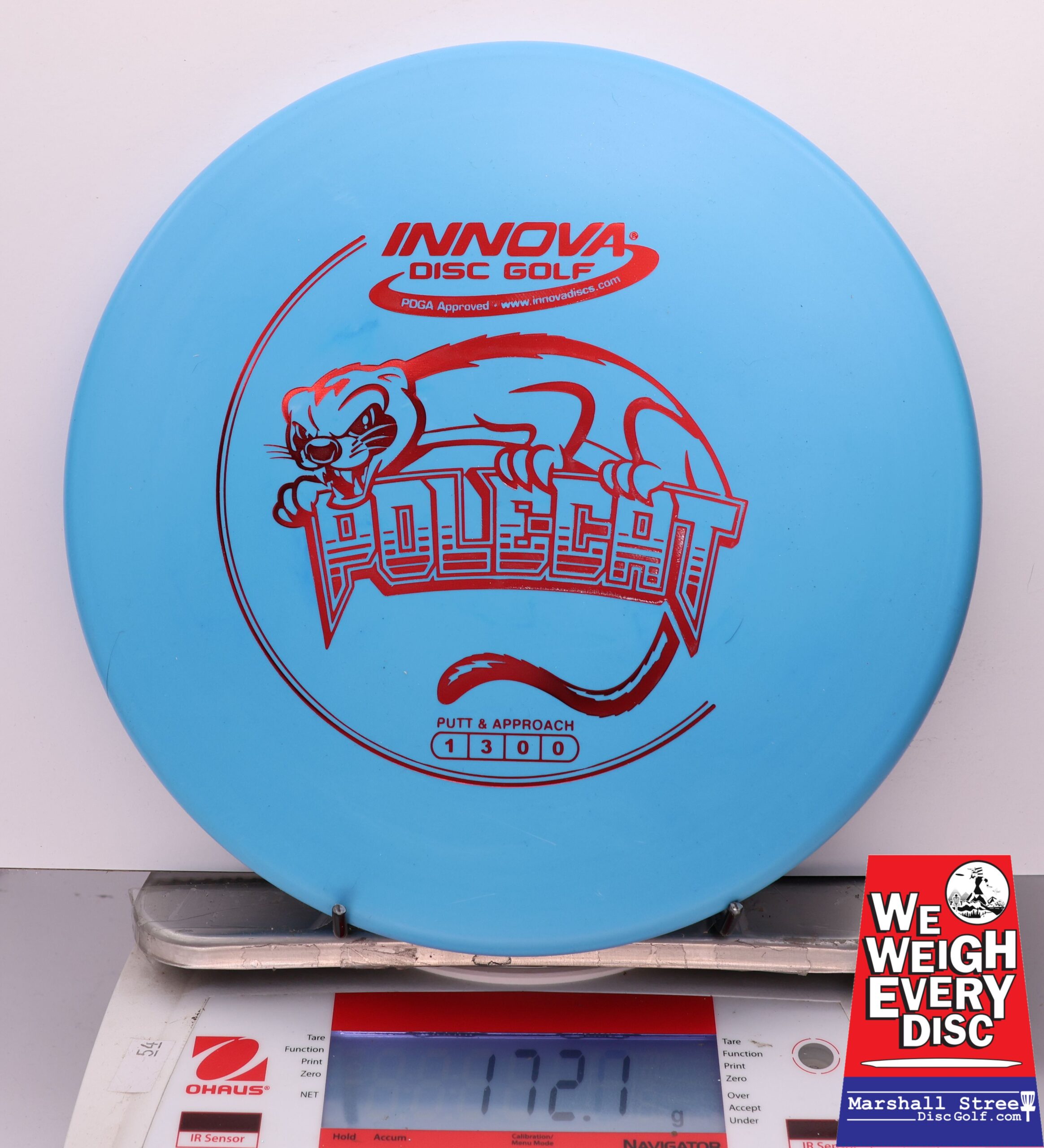 441242 DX Polecat - #921 Blue, 172