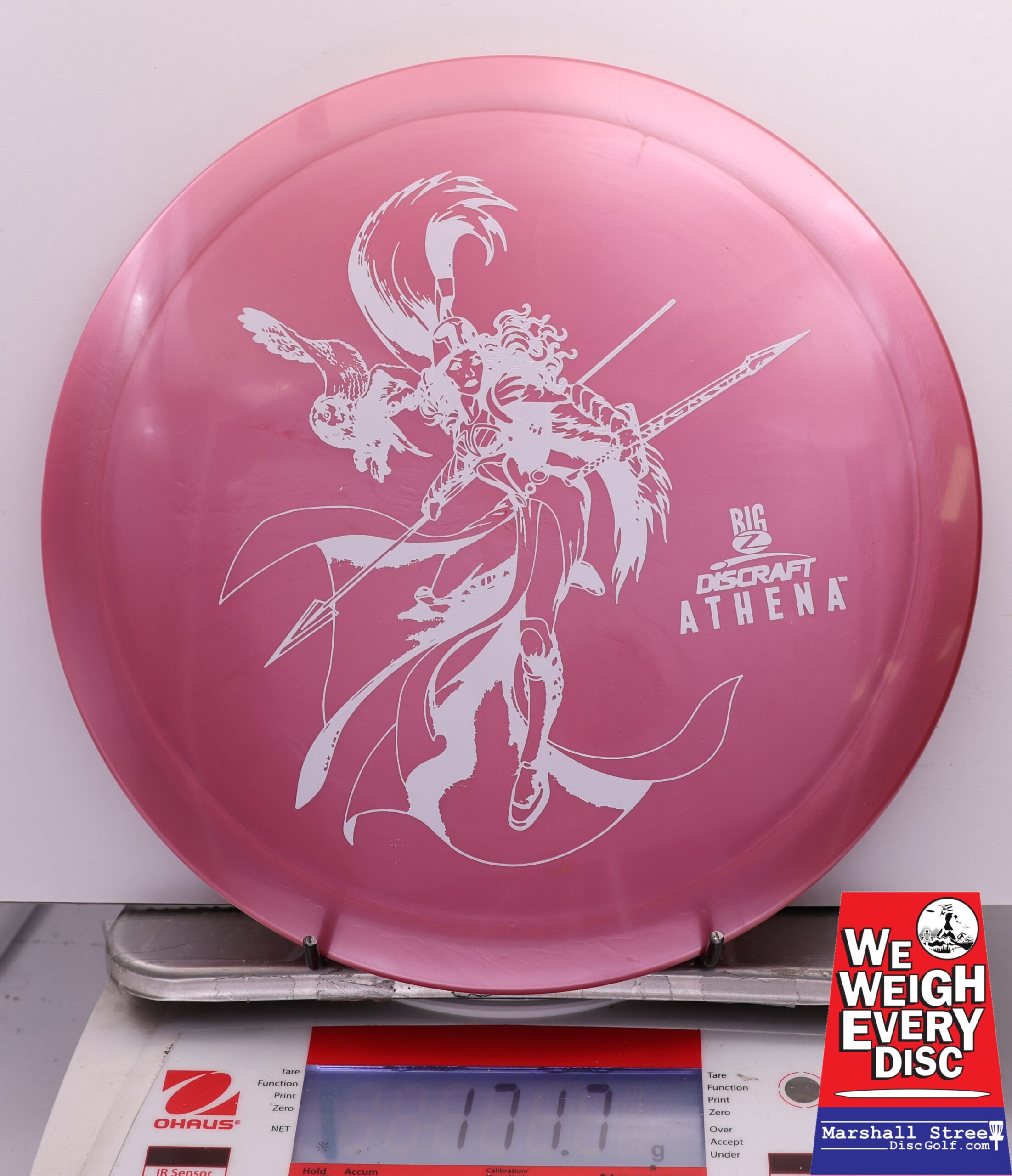 443954 Big Z Athena, Paul McBeth - #622 Magenta, 172