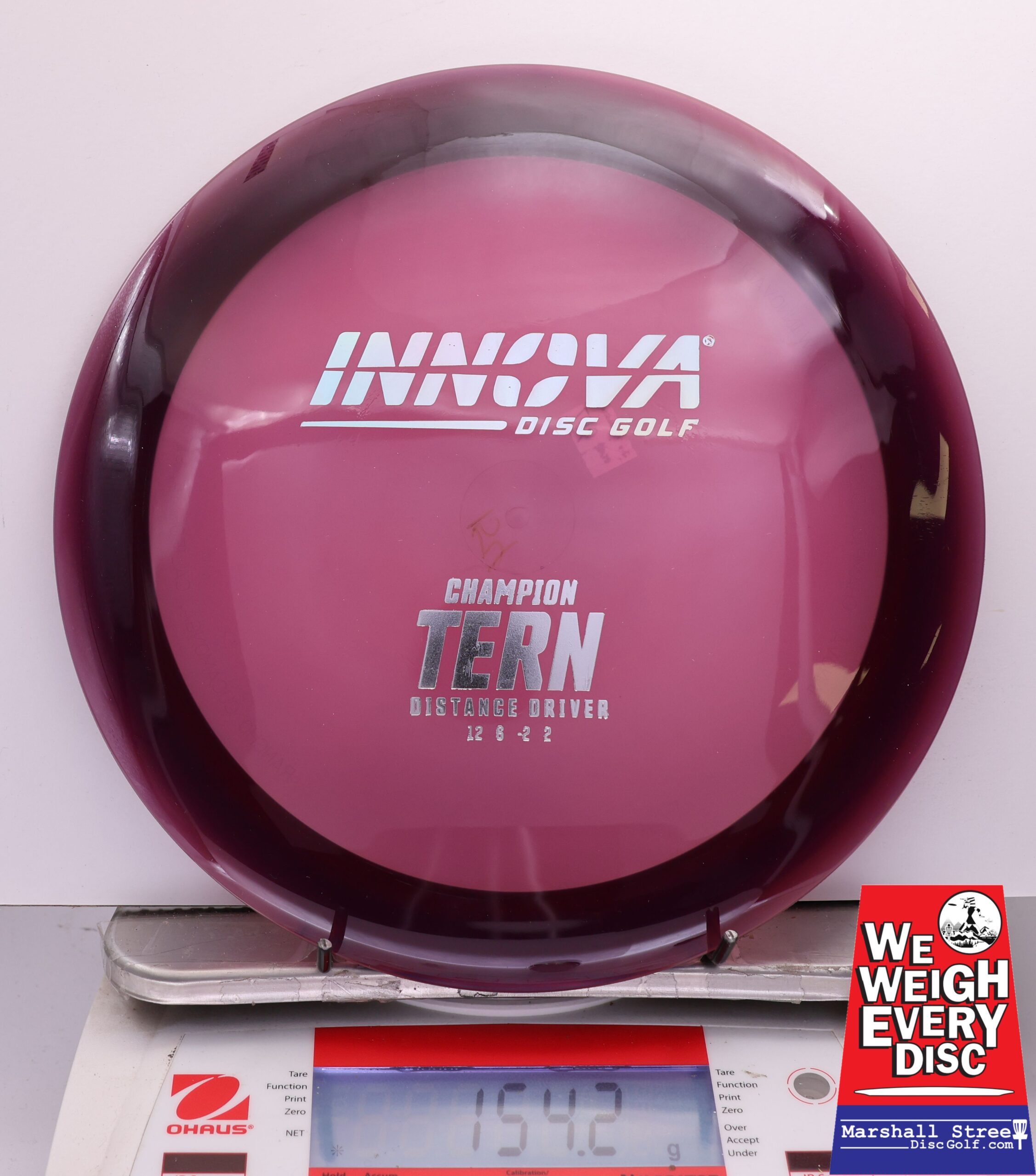 444705 Champion Tern - #957 DkPurple, 154