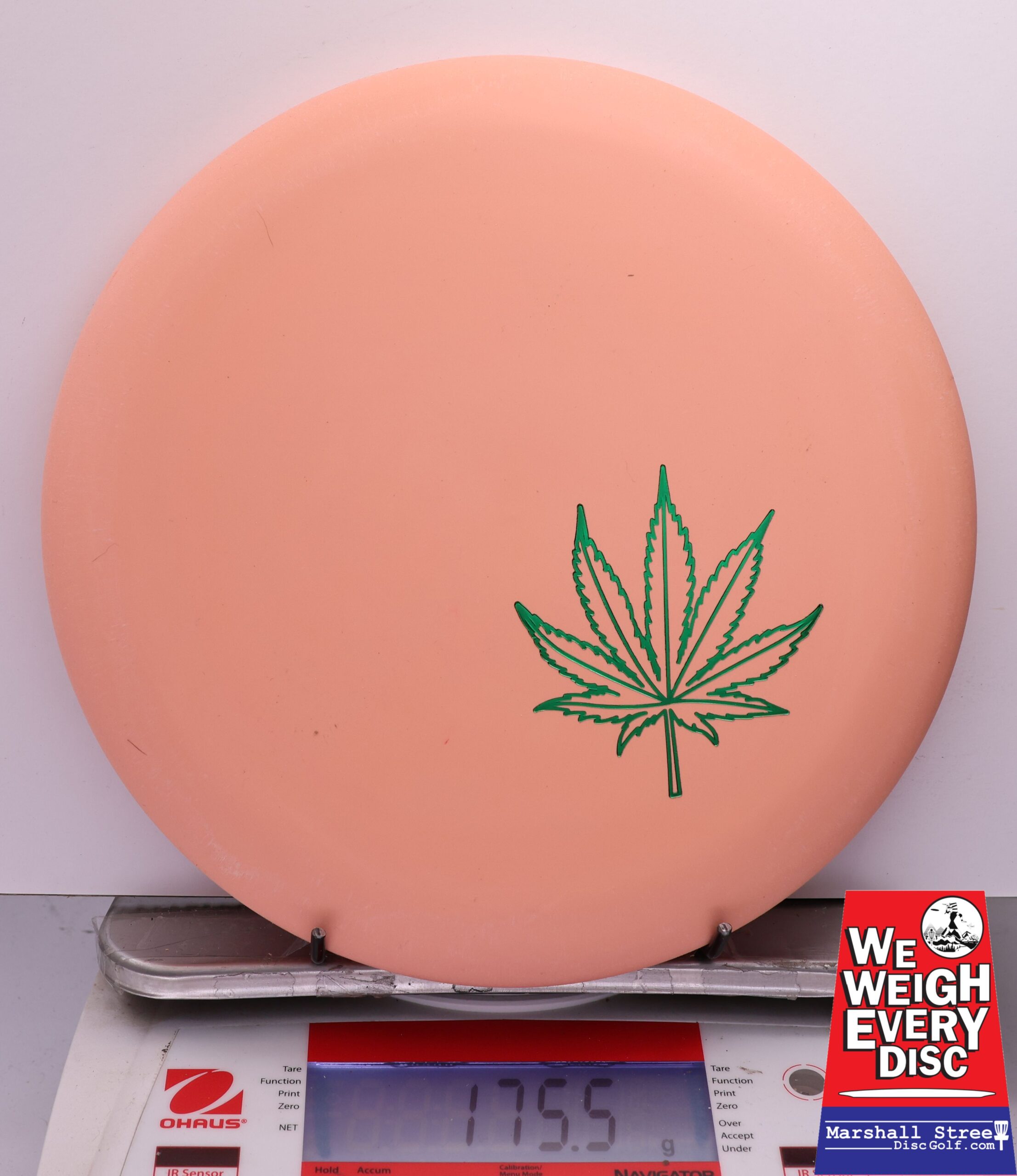 447507 Eraser Wizard - #318 SS Orange Leaf, 176