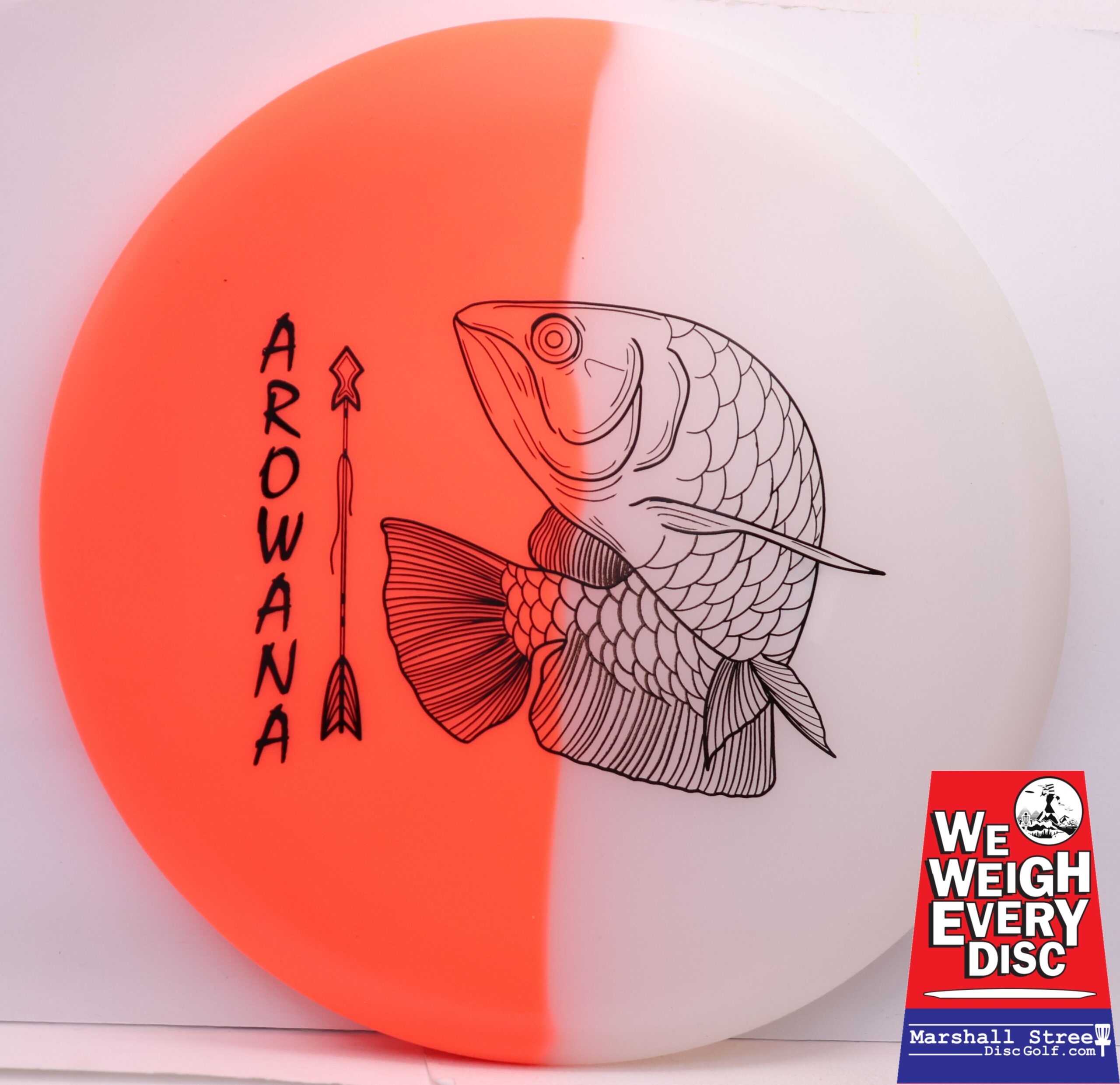 glO-G Arowana - Image 3