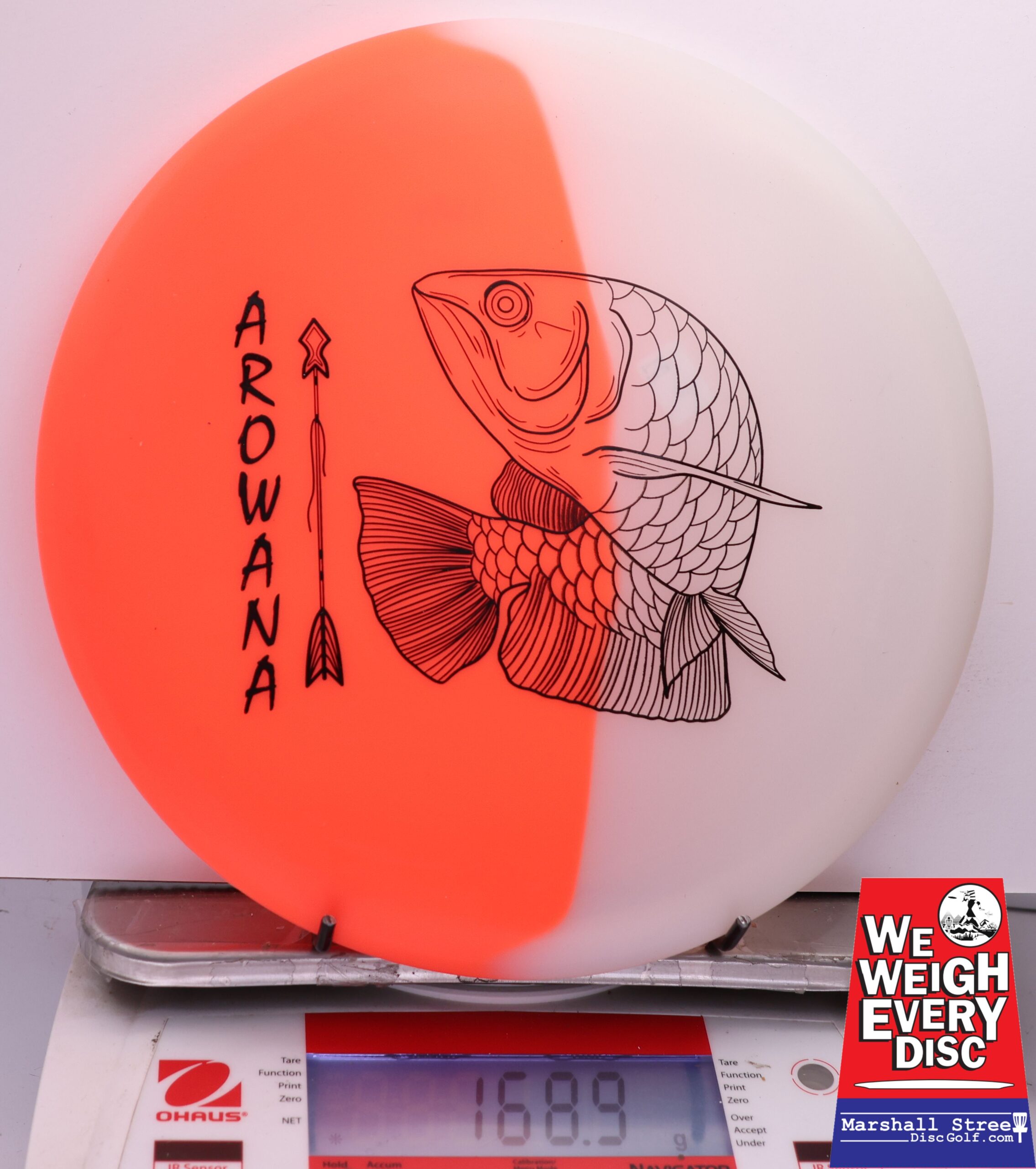 450553 glO-G Arowana - #01 NRedGlow, 169