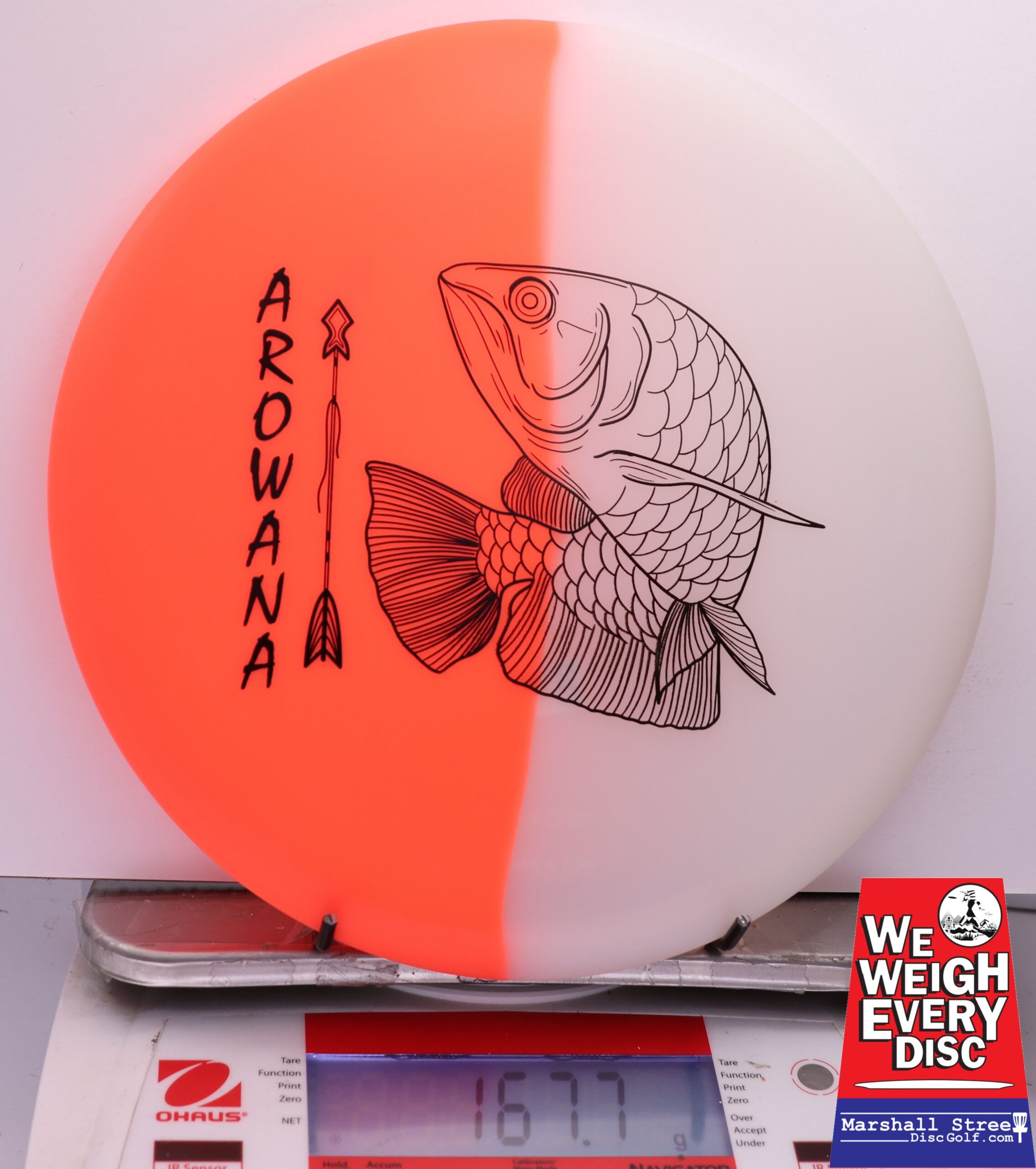 450557 glO-G Arowana - #05 NRedGlow, 168