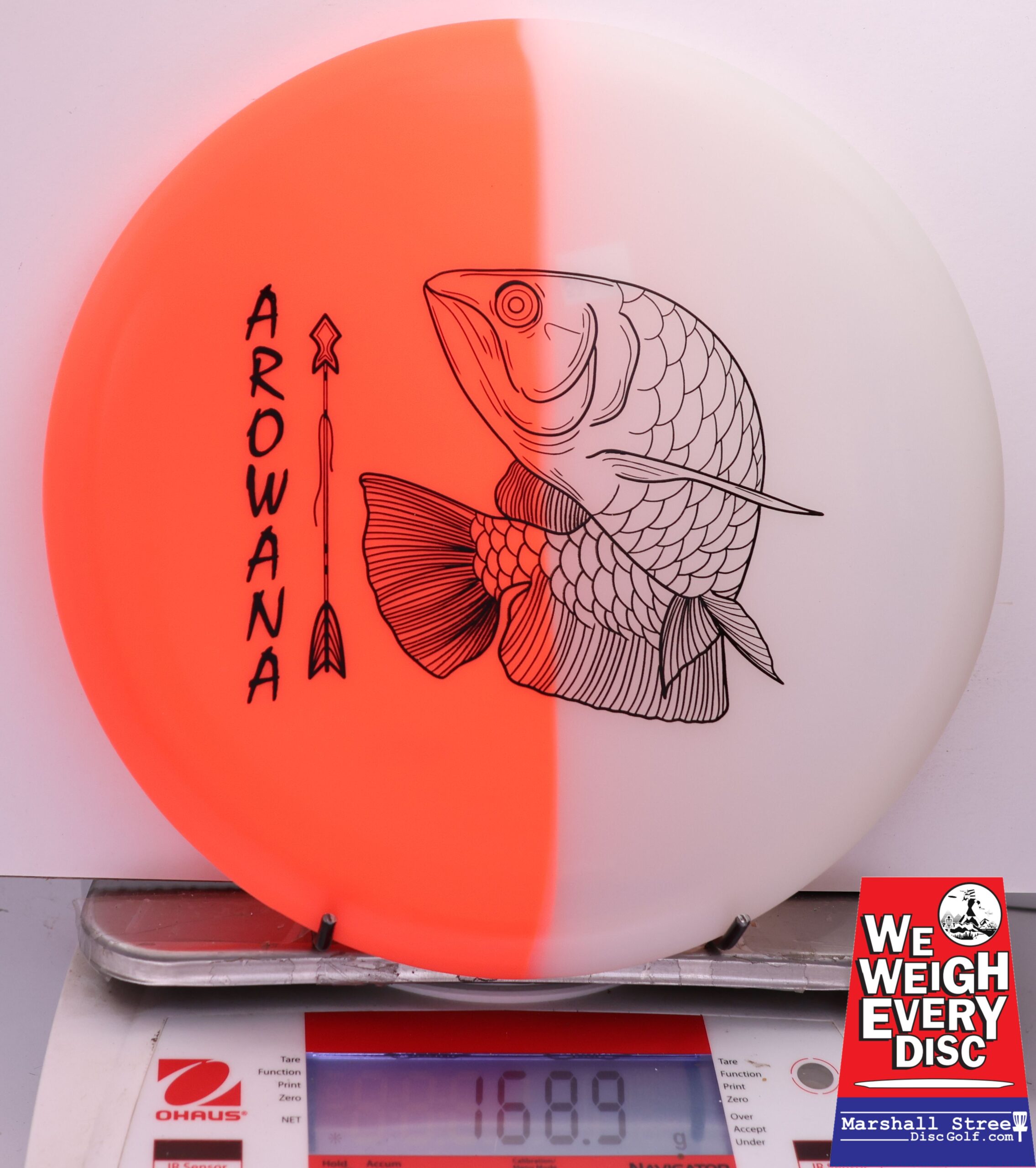 450560 glO-G Arowana - #08 NRedGlow, 169