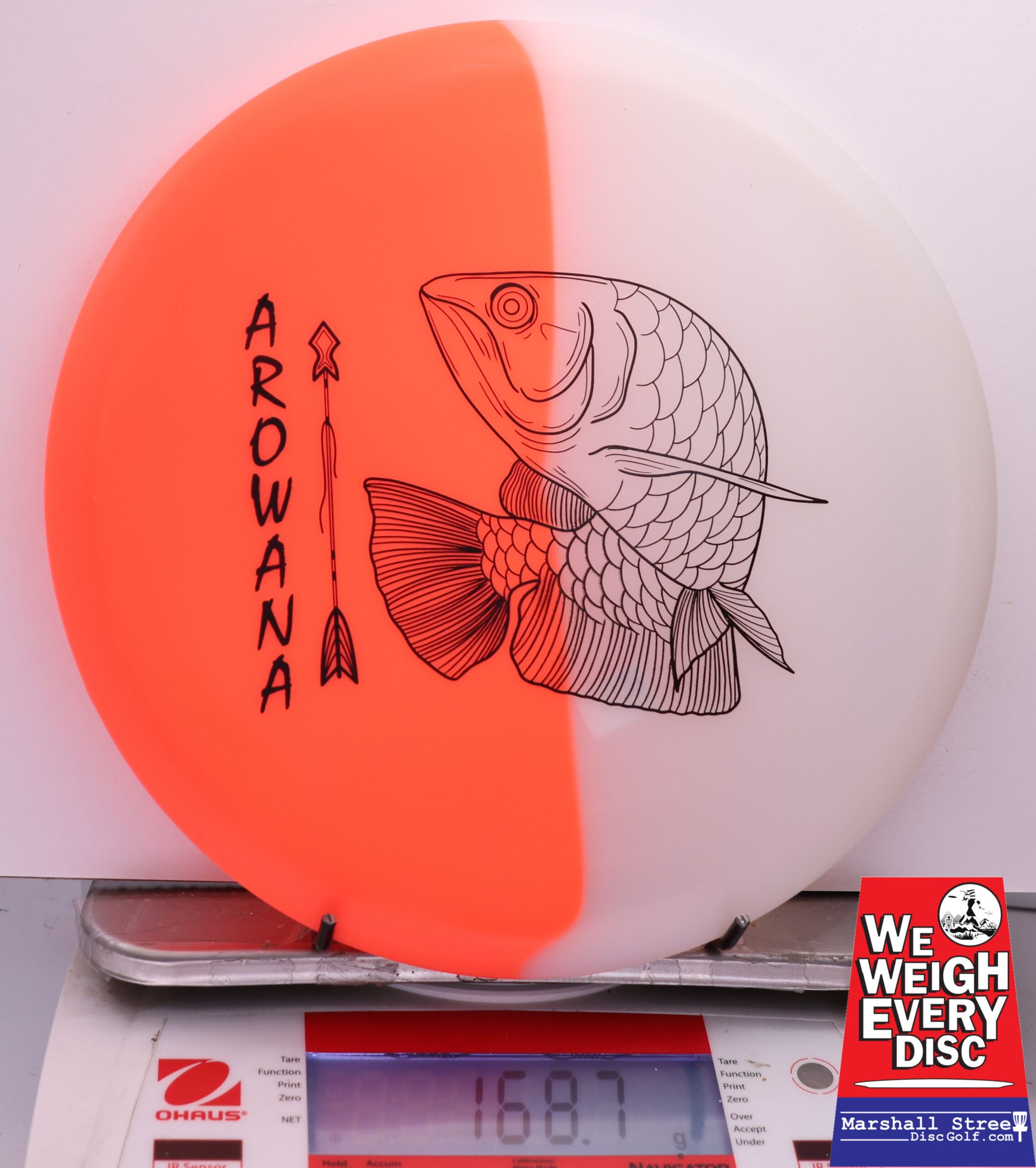 450561 glO-G Arowana - #09 NRedGlow, 169